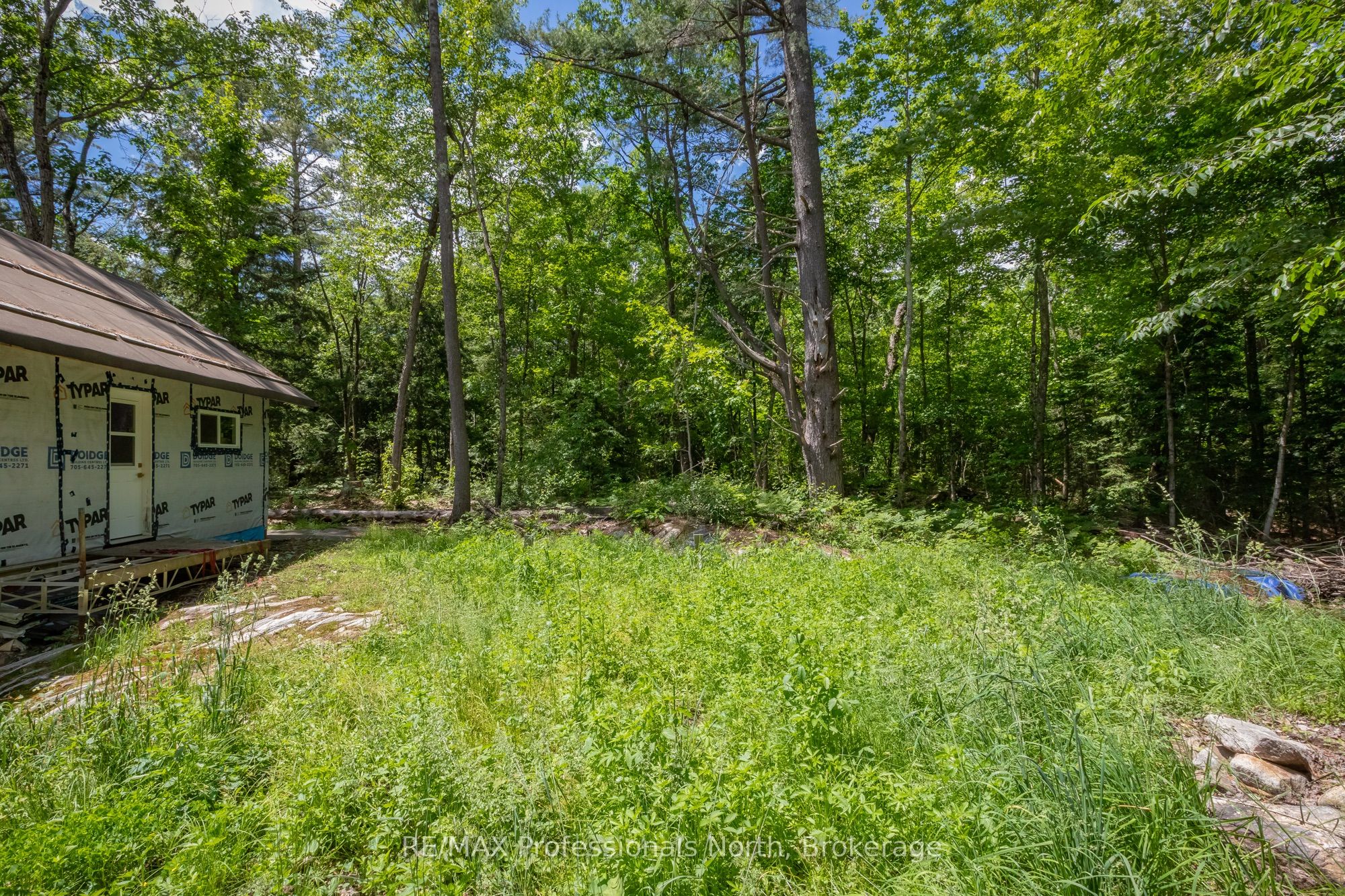 Listing 158278 Image