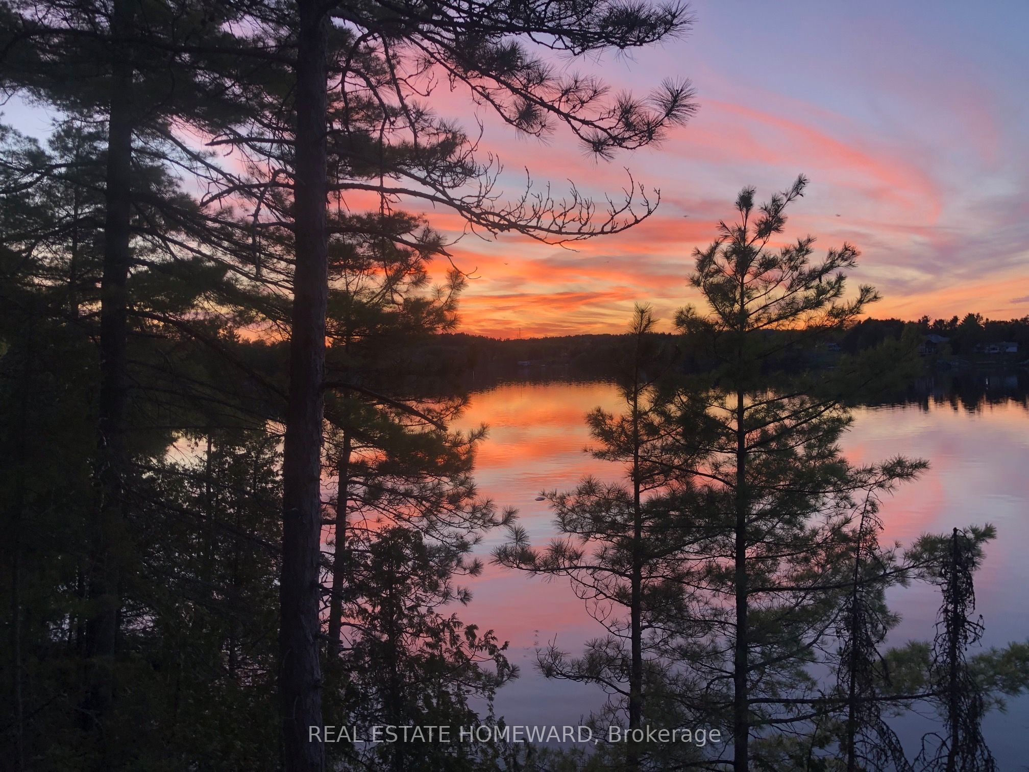 Listing 181498 Image