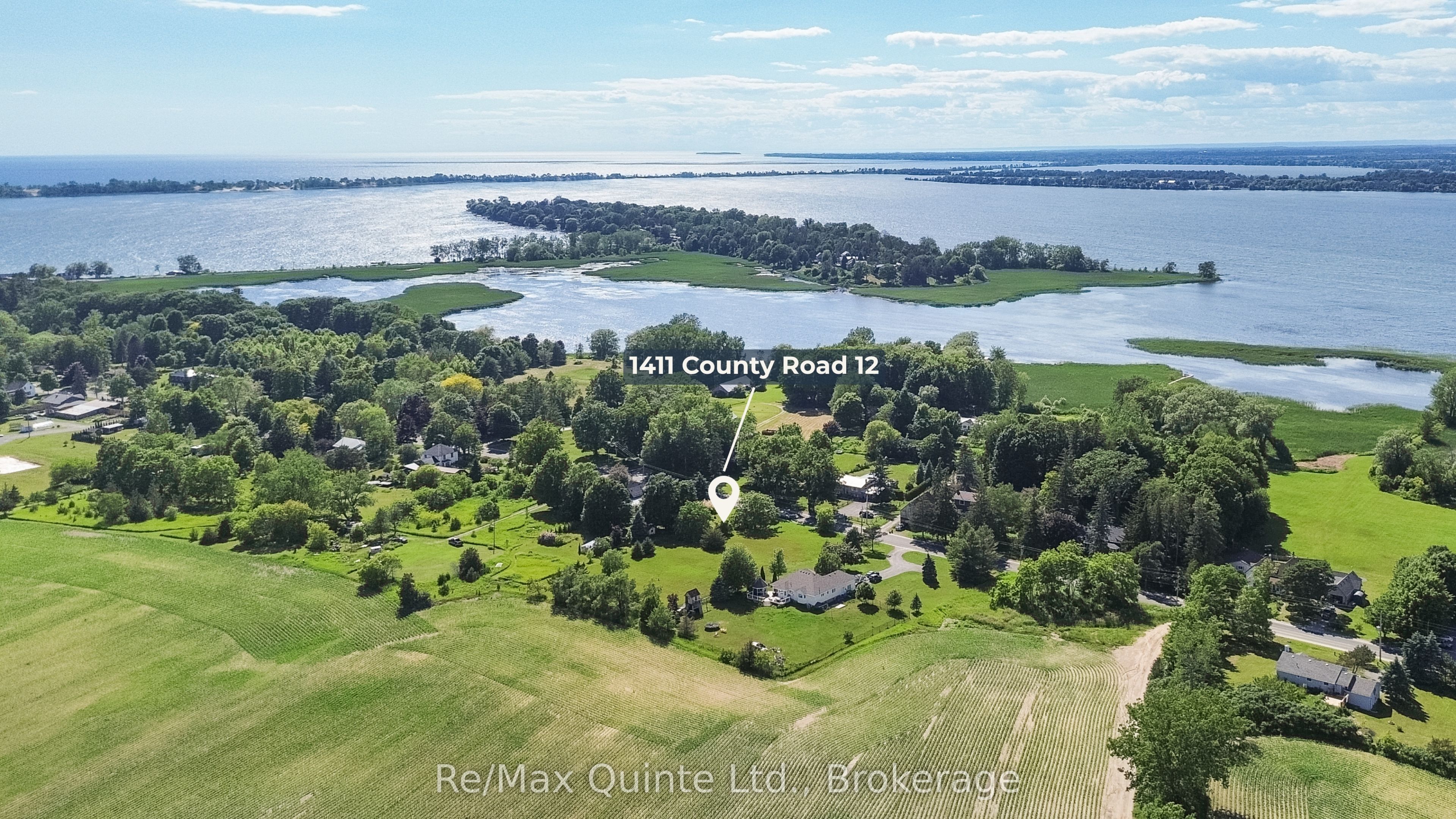 Main Property