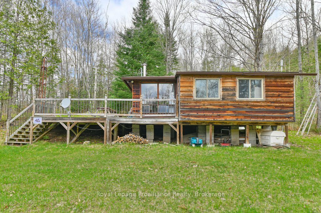 Listing 146857 Image