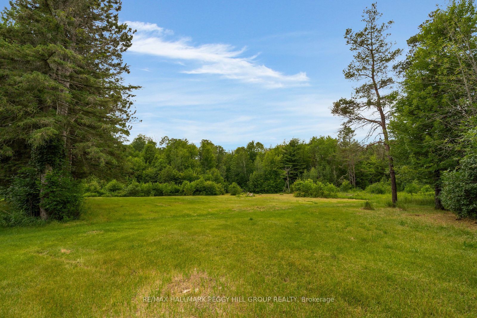 Listing 173061 Image