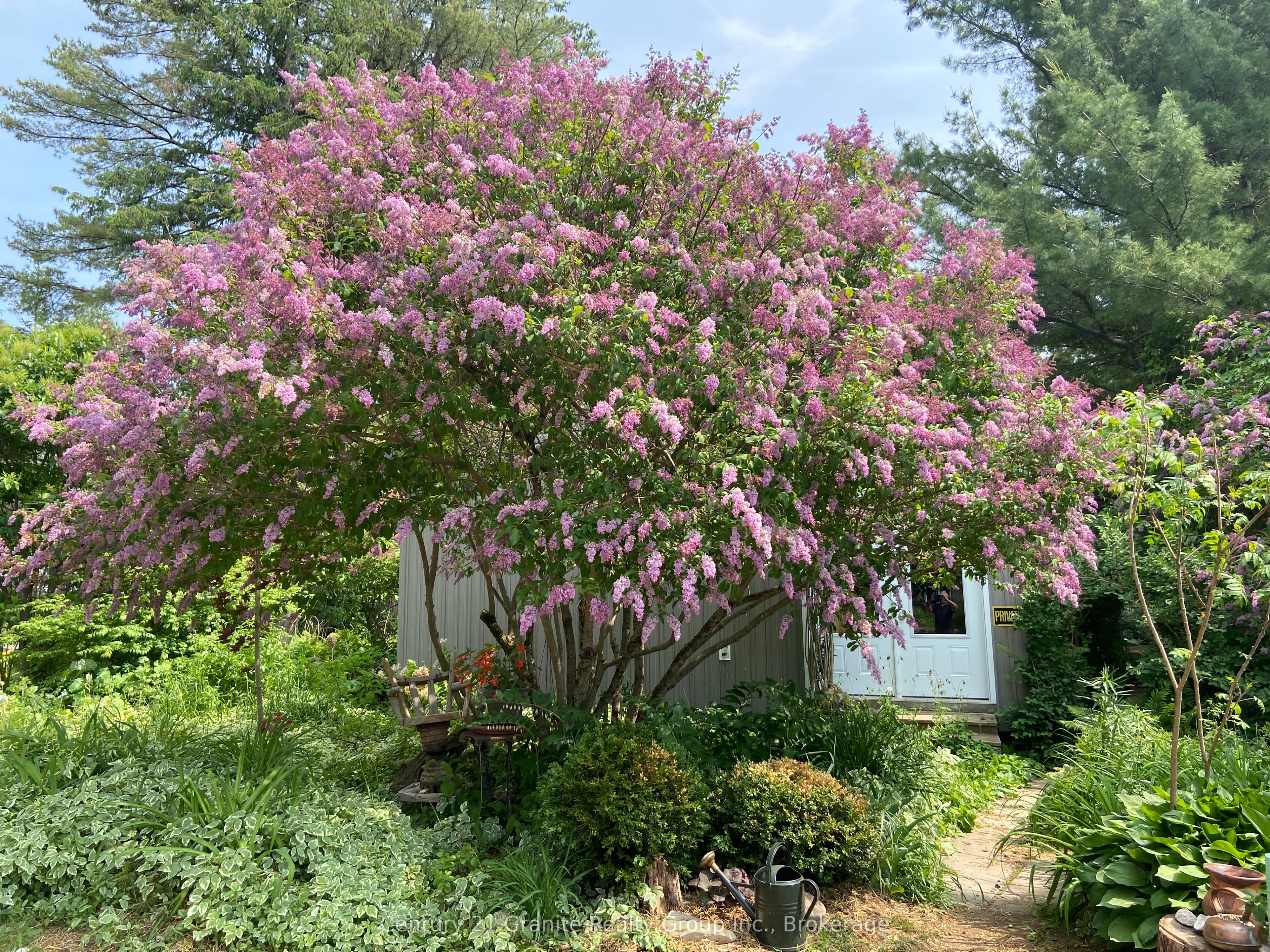 Listing 196468 Image