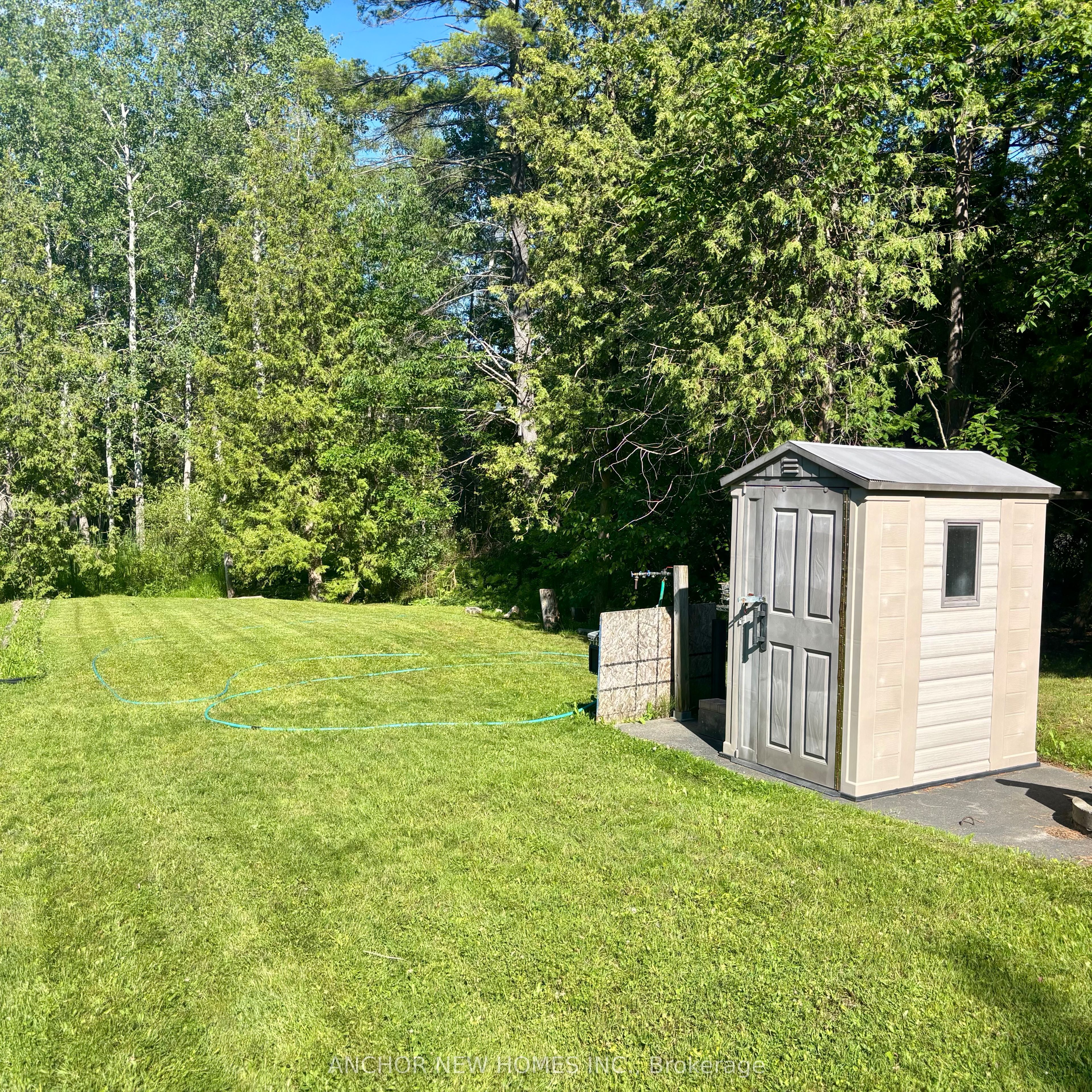 Listing 144081 Image
