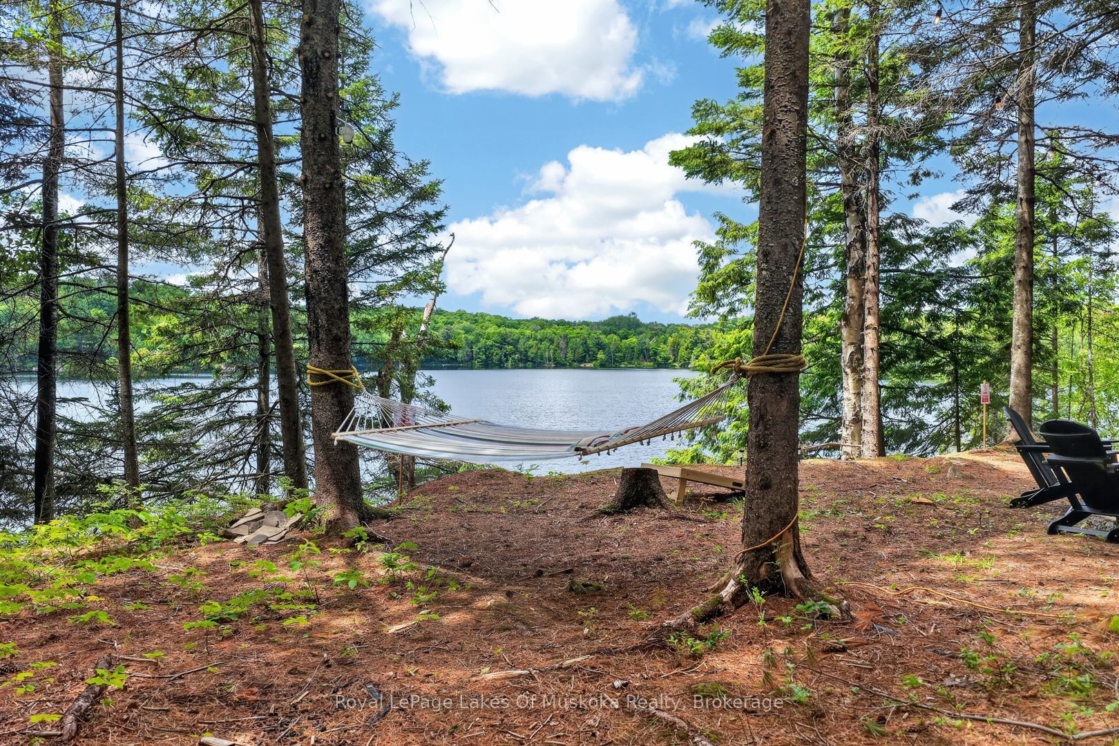 Listing 144469 Image