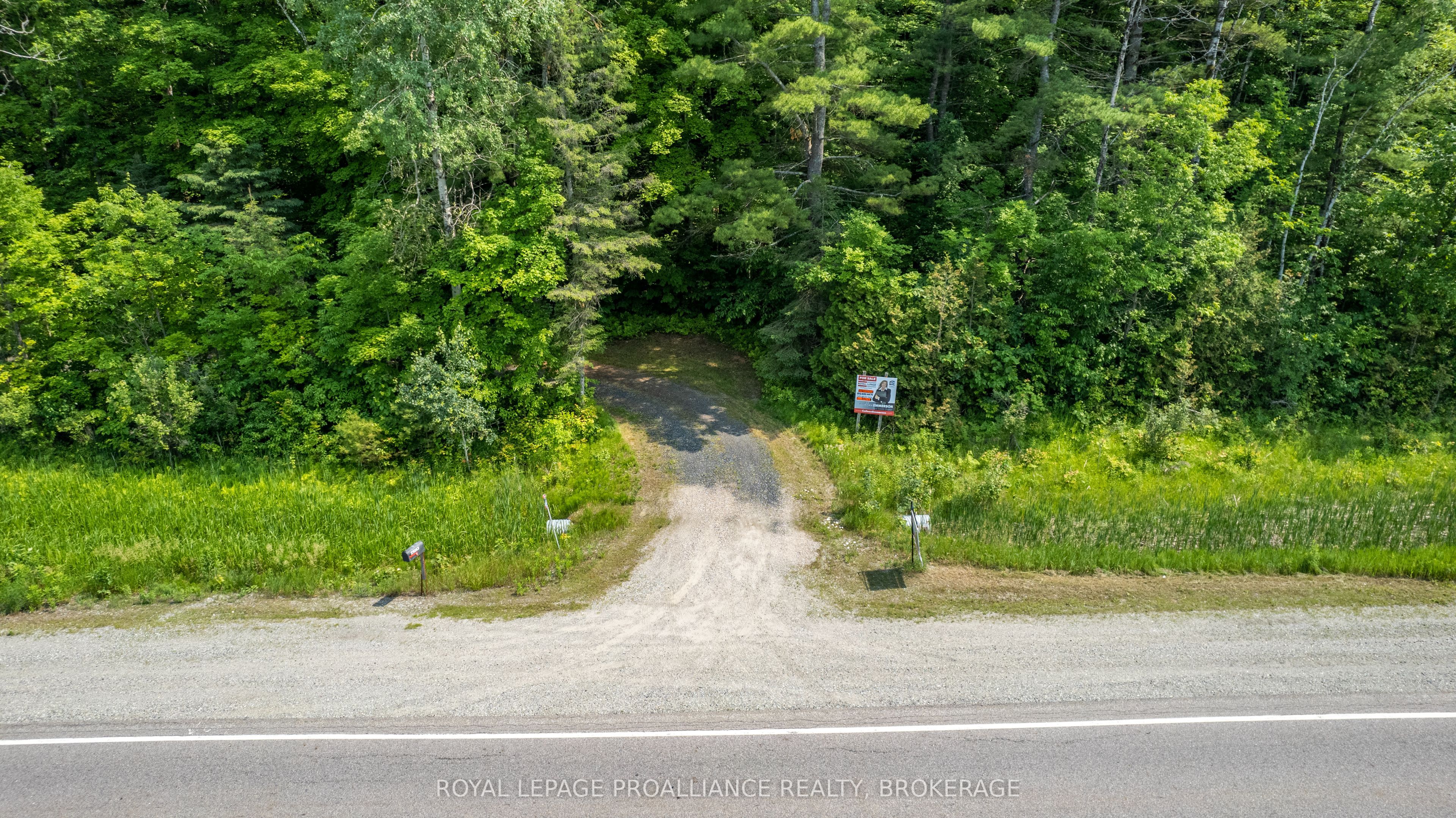 Listing 146029 Image