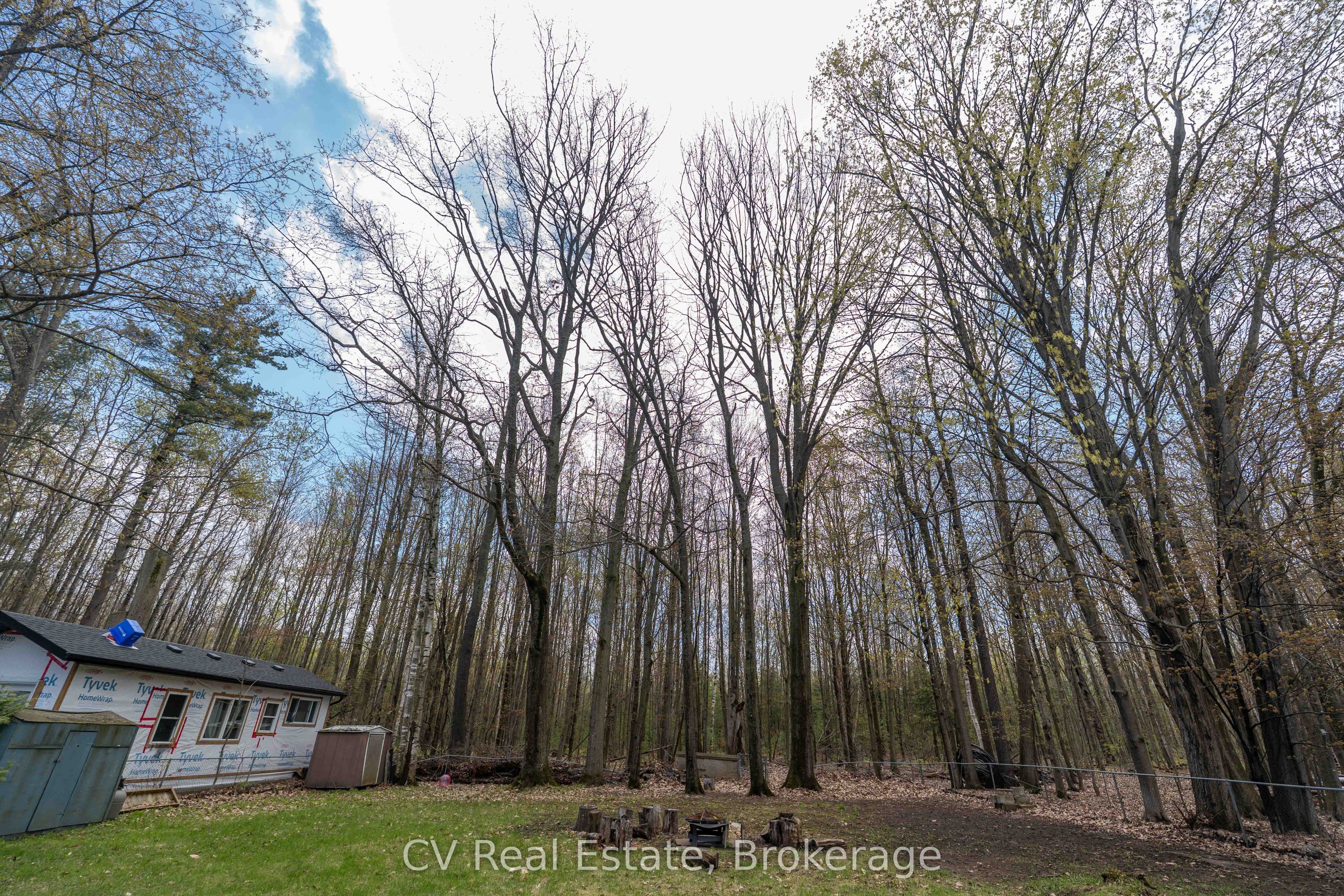 Listing 146646 Image