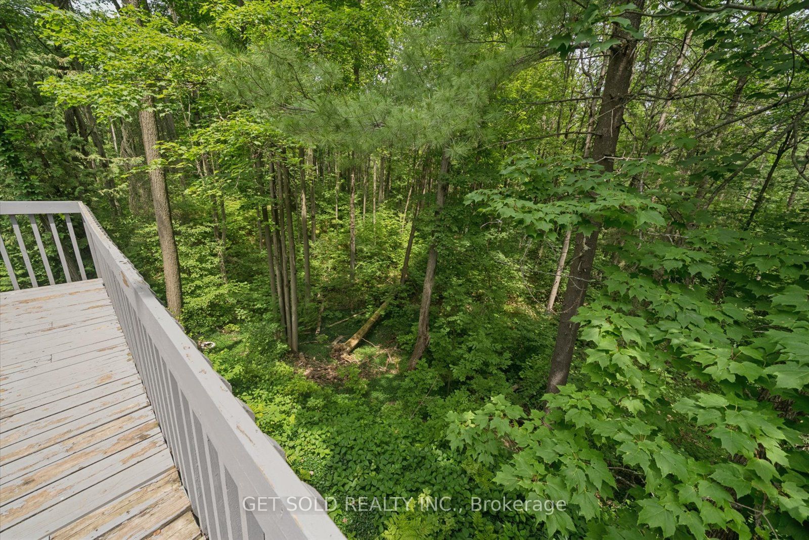 Listing 148302 Image