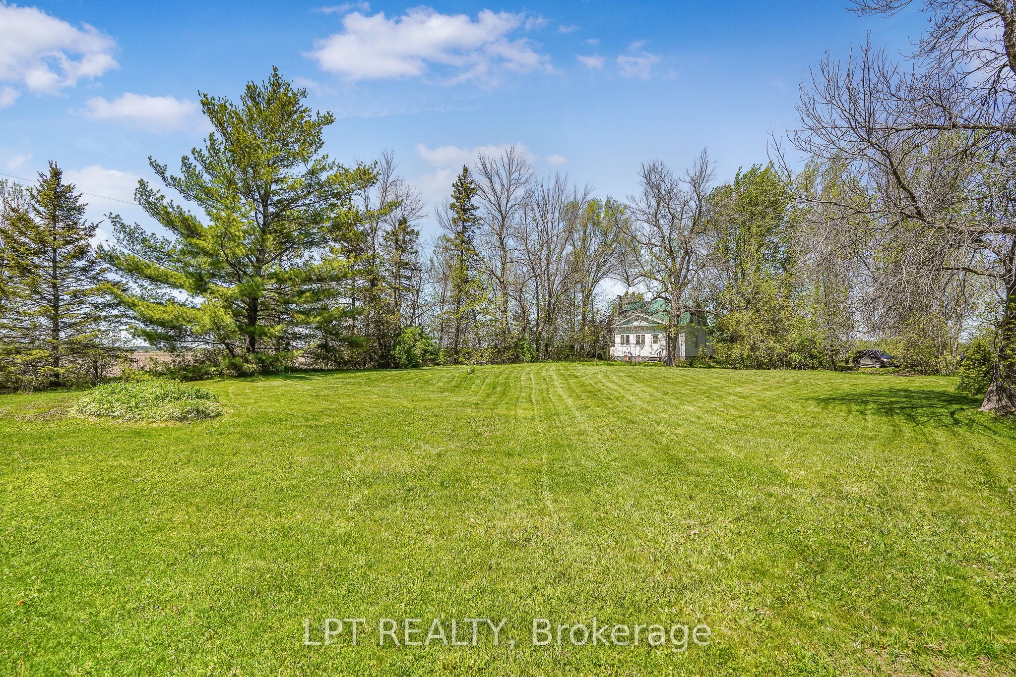 Main Property