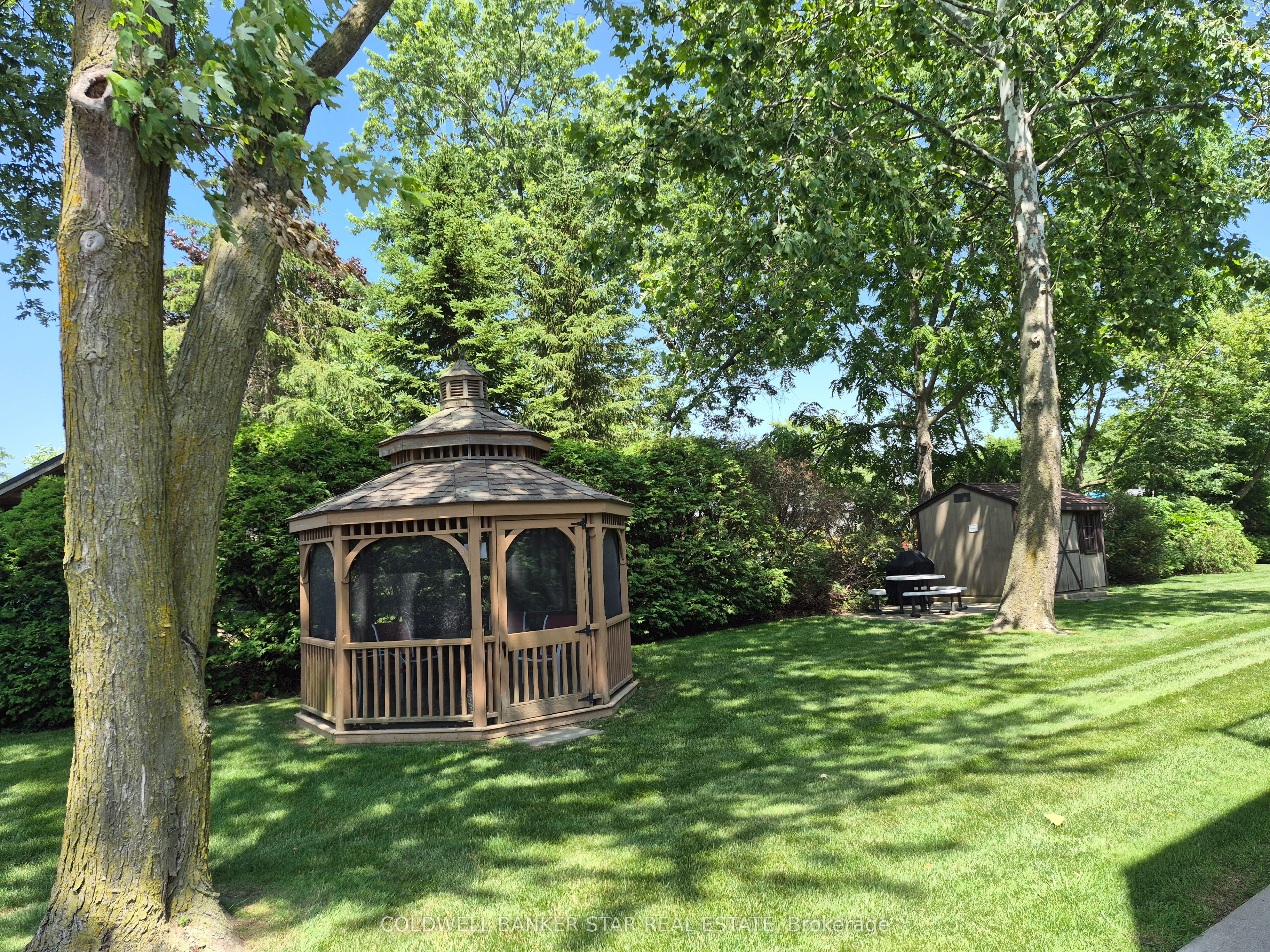 Listing 154547 Image