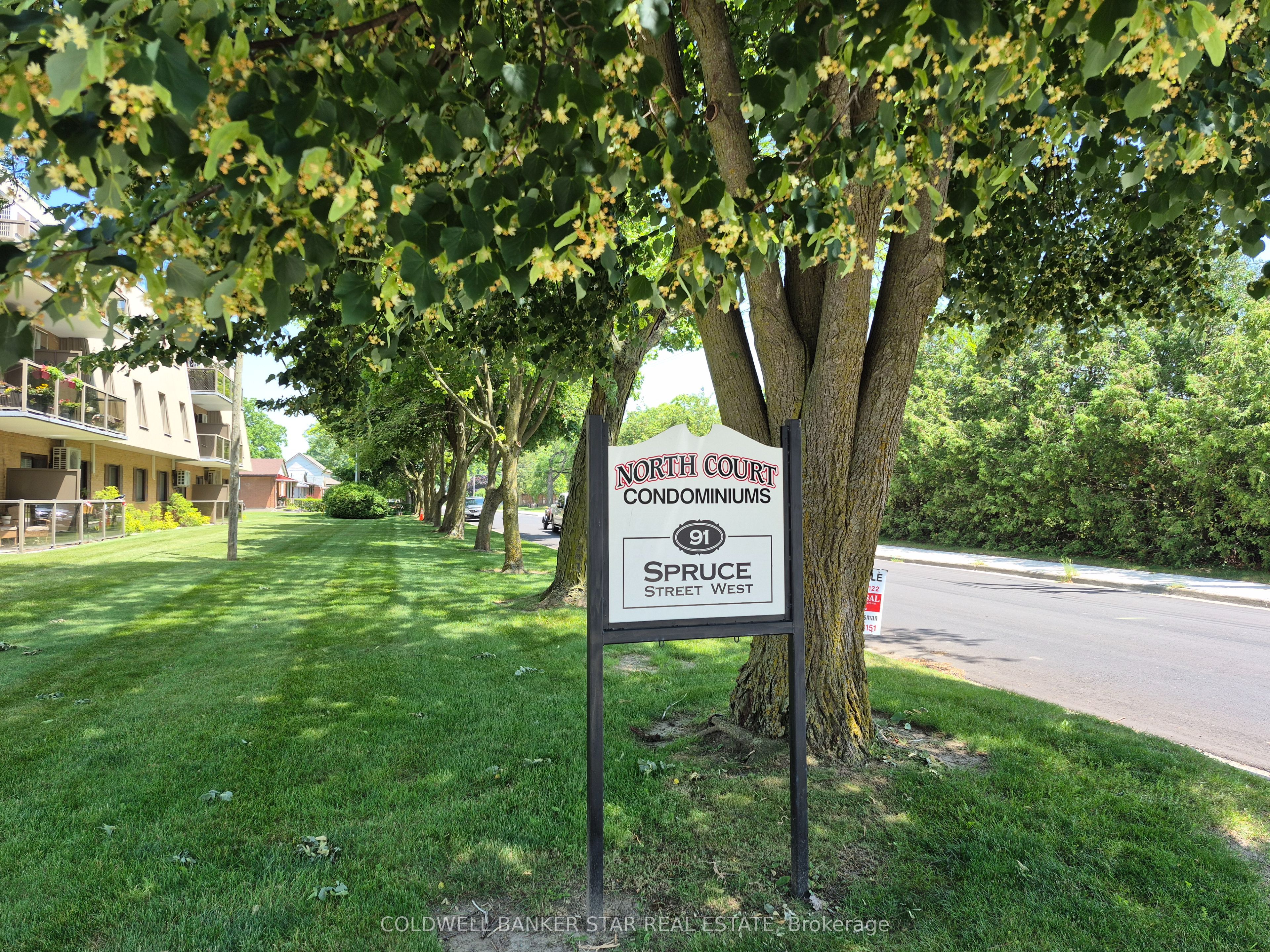 Main Property