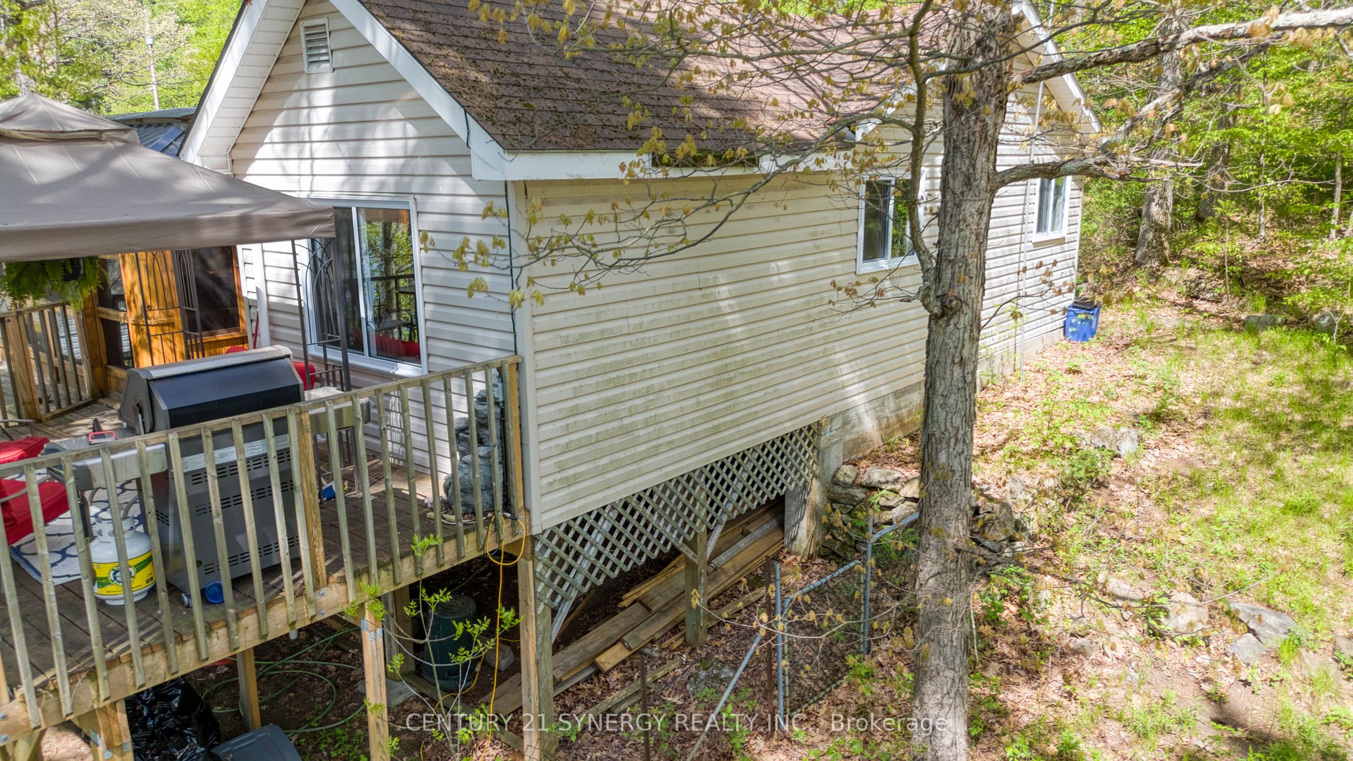 Main Property