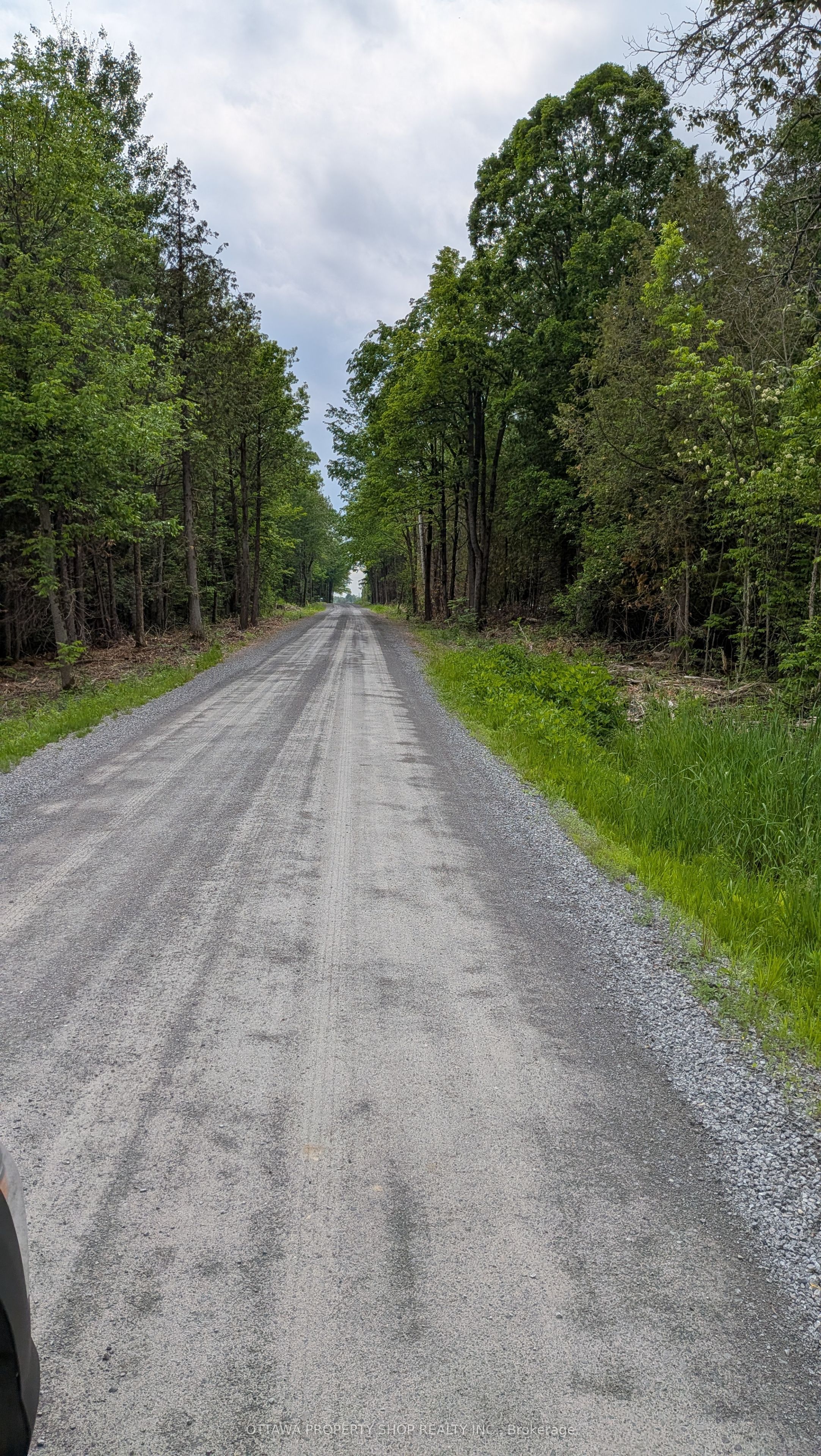 Listing 149842 Image