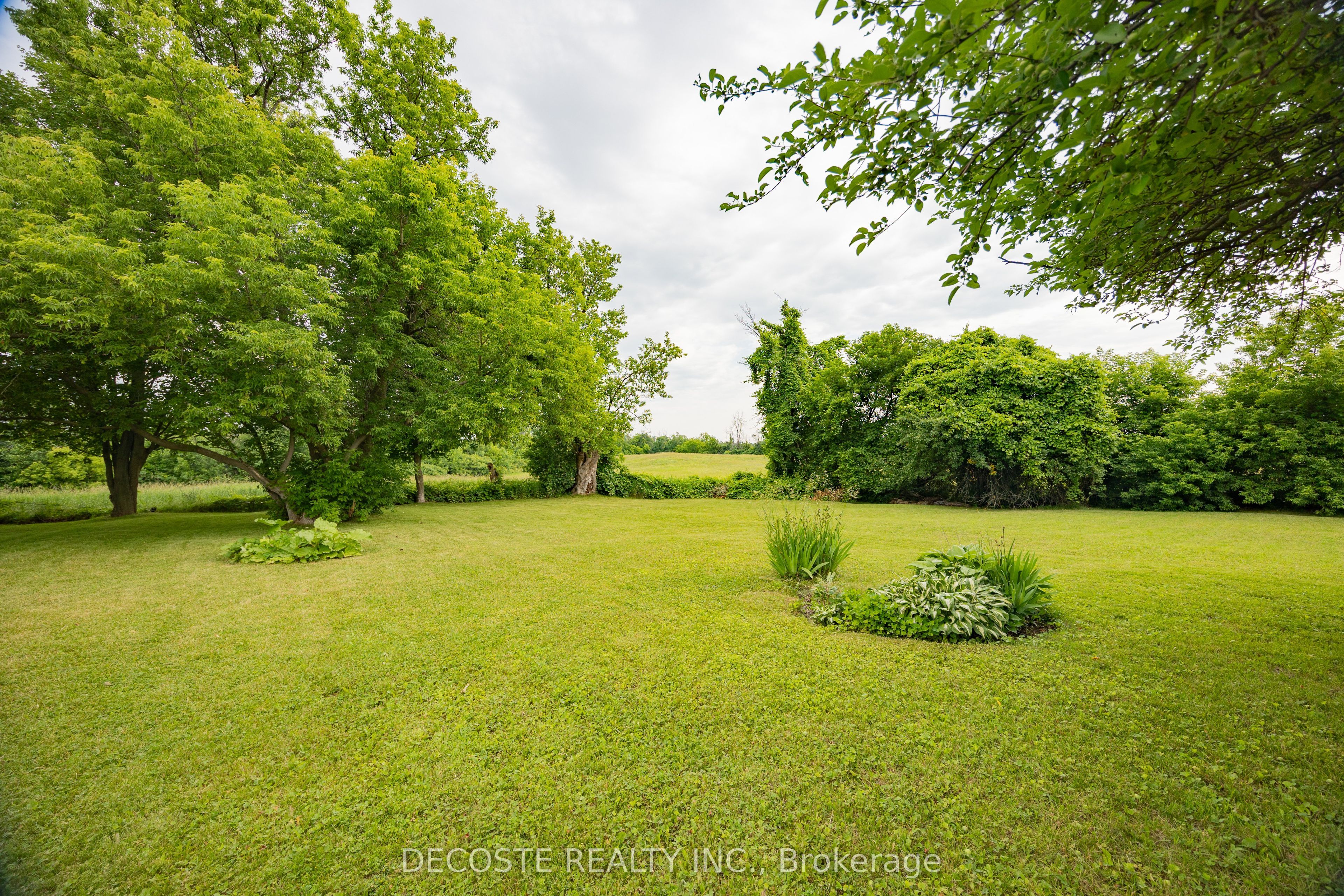 Listing 160275 Image