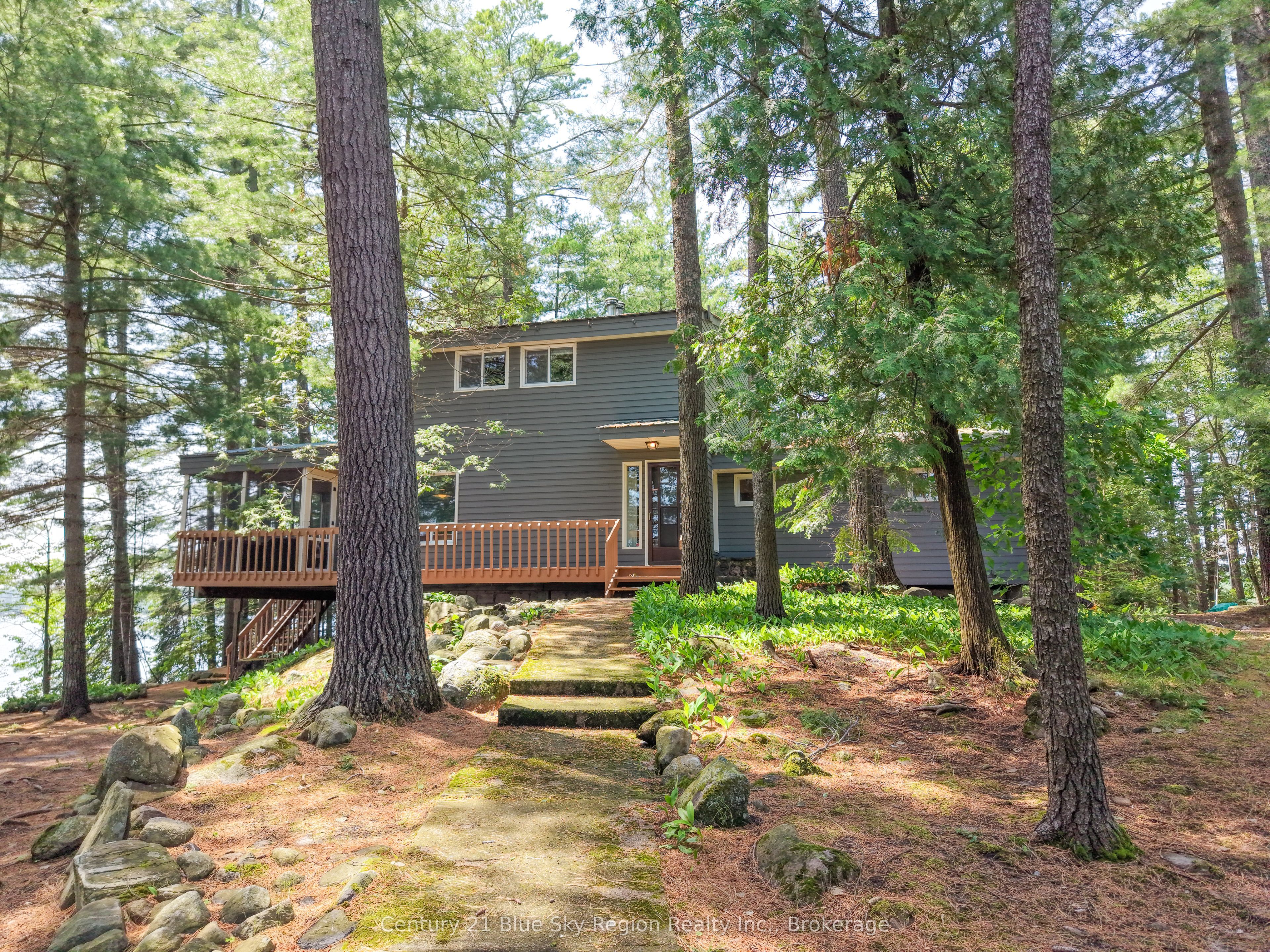 Main Property