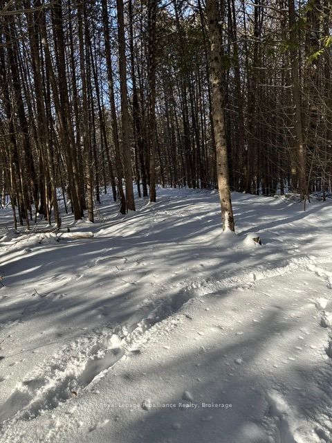 Listing 183958 Image