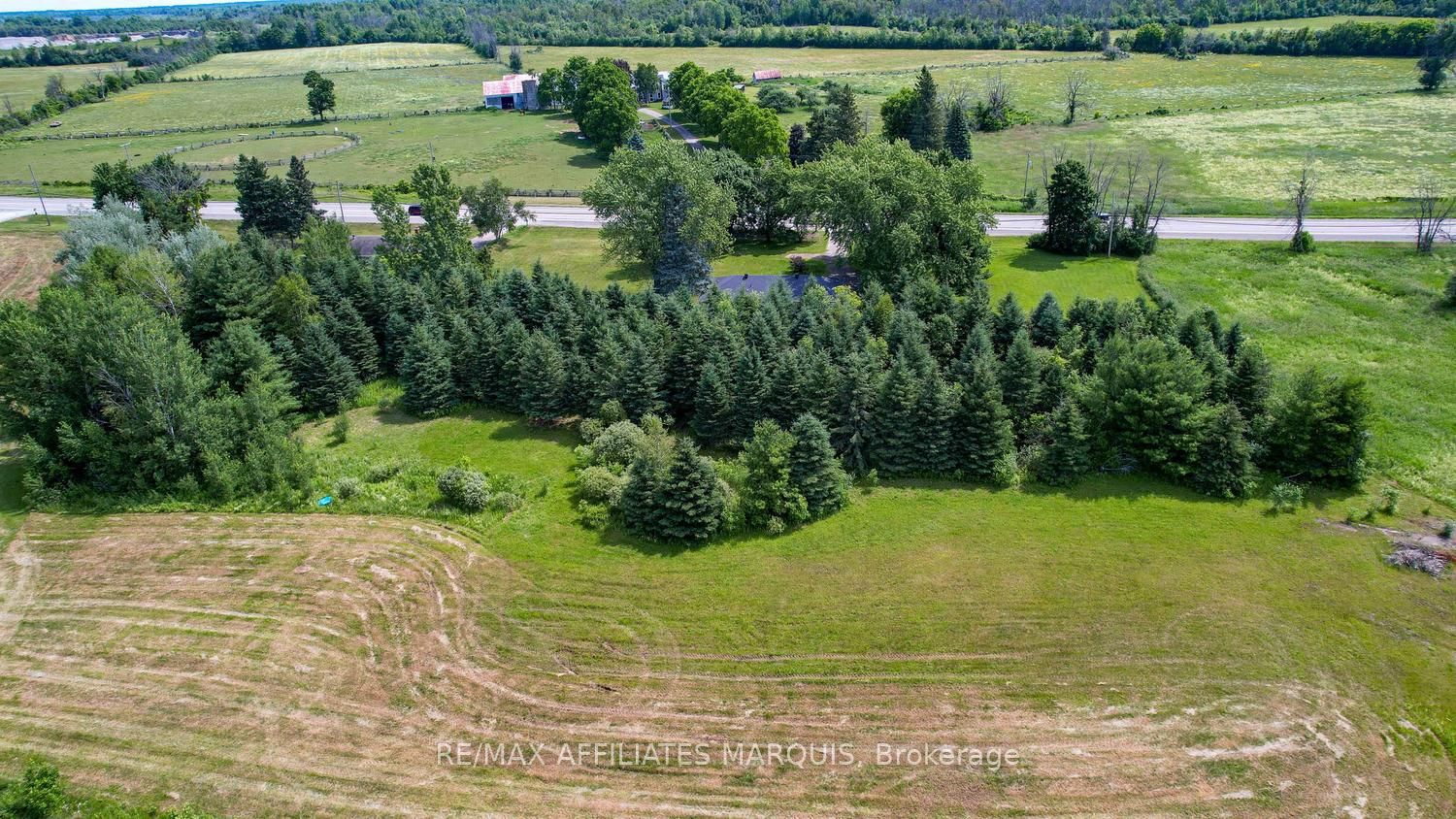 Listing 166553 Image