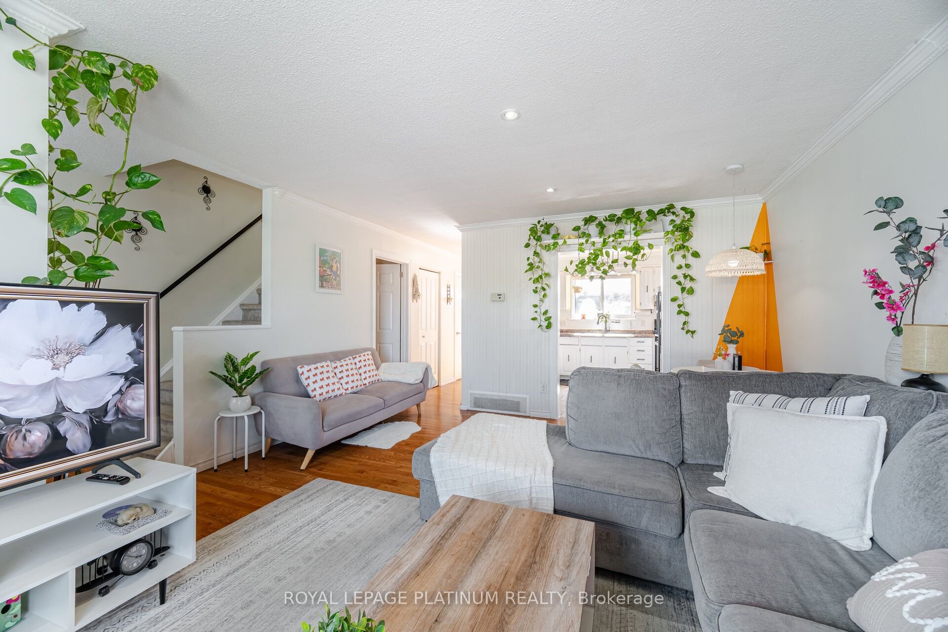 Main Property