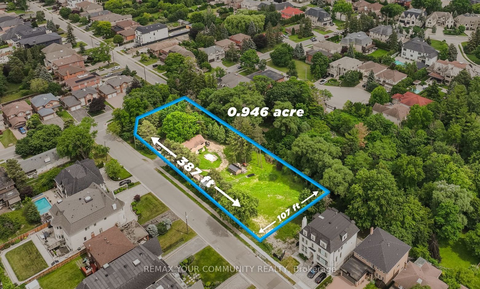 Listing 158655 Image