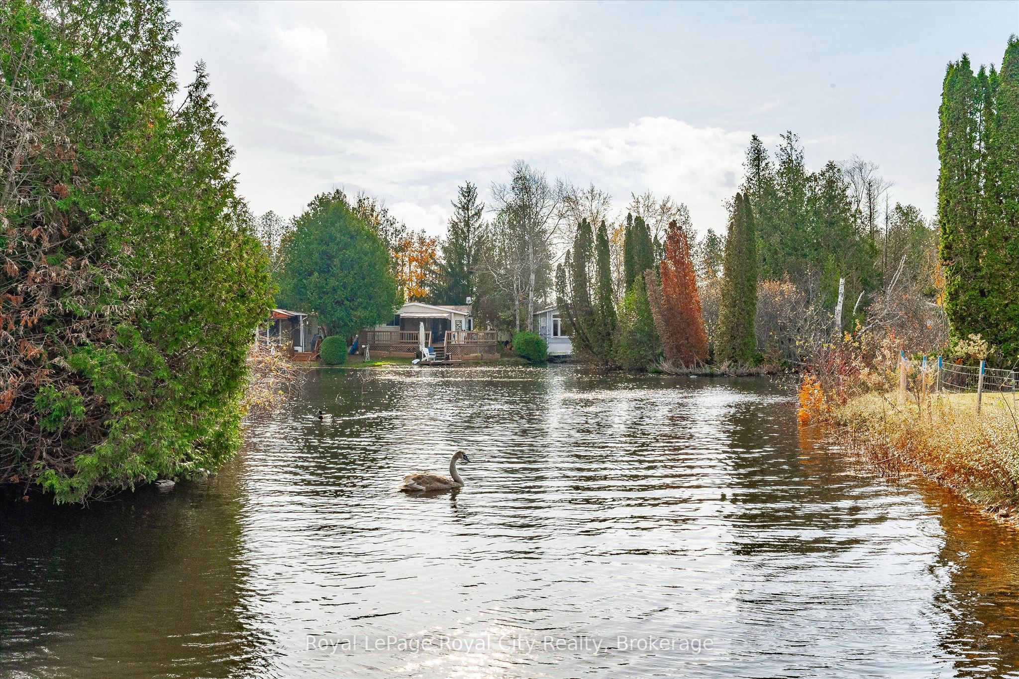 Listing 161016 Image