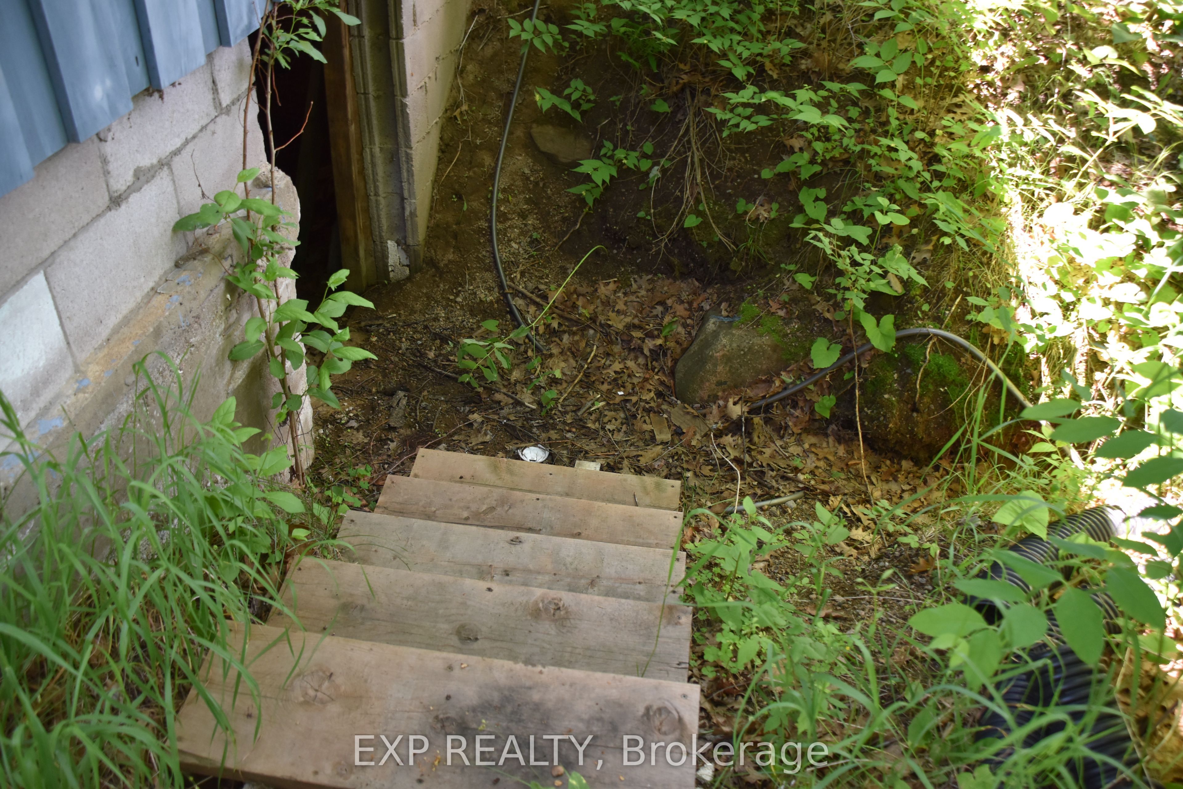 Listing 161484 Image
