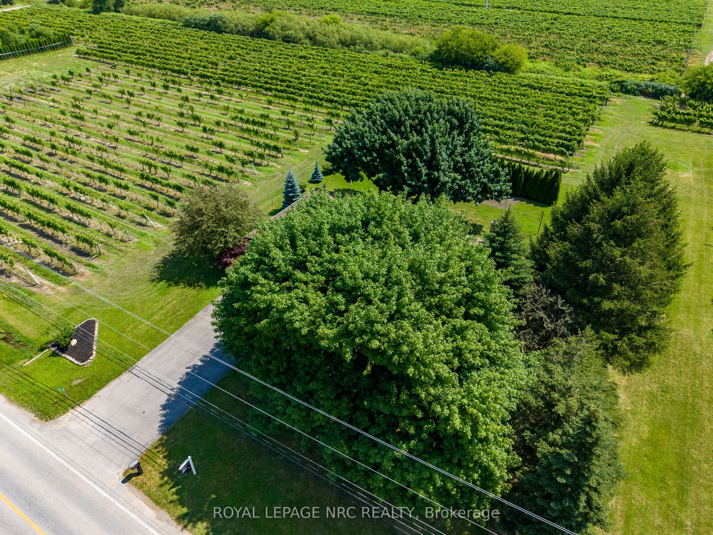 Listing 186723 Image