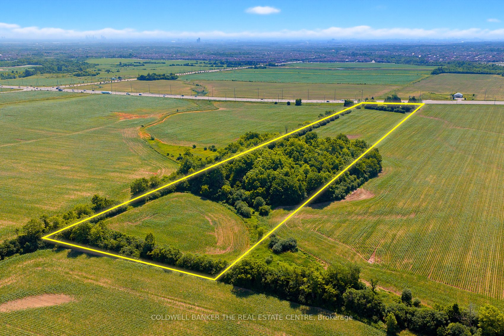 Main Property