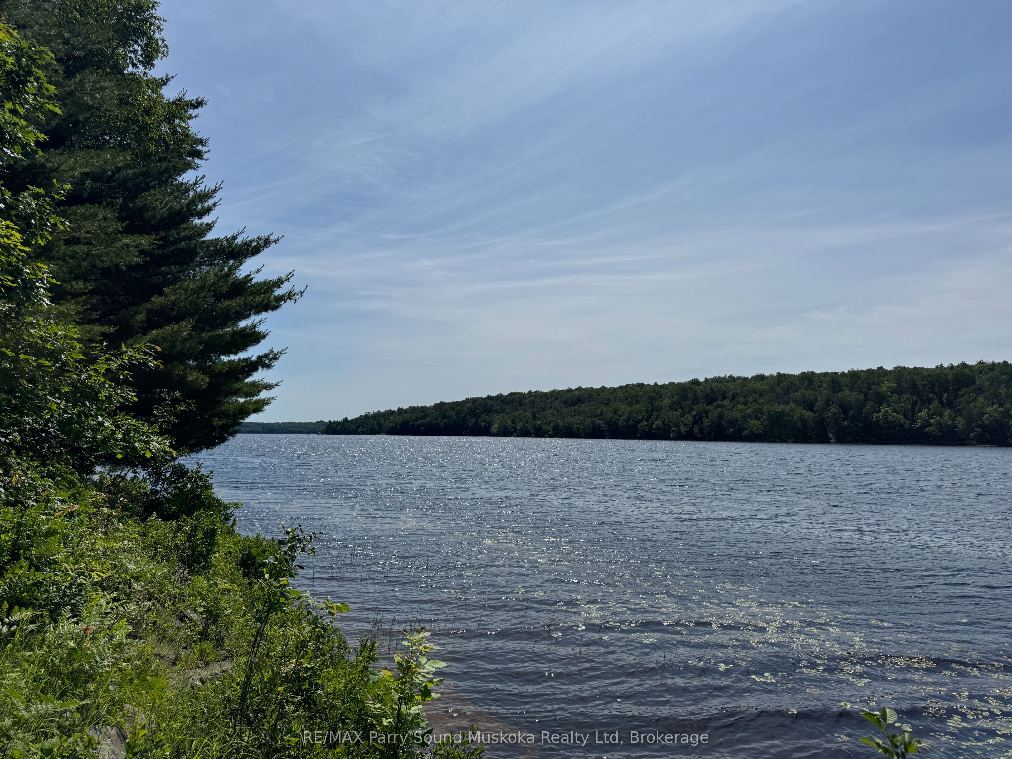 Listing 183461 Image