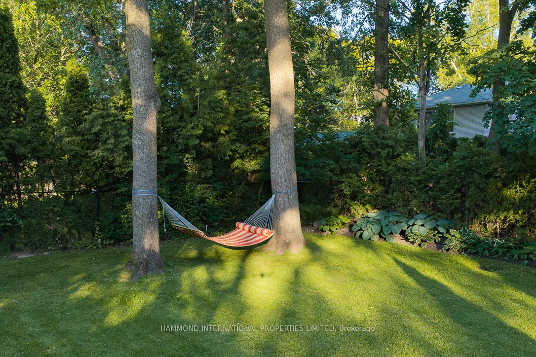 Listing 168669 Image