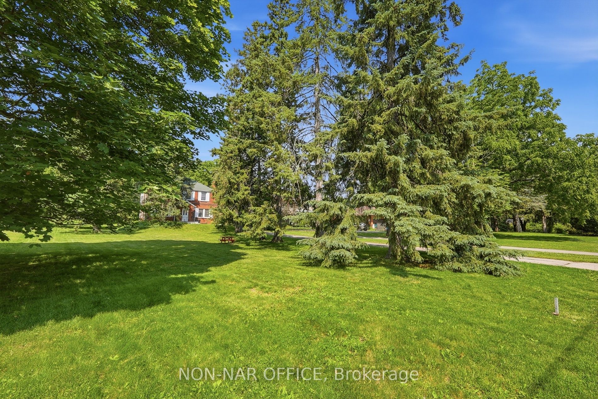 Listing 175882 Image