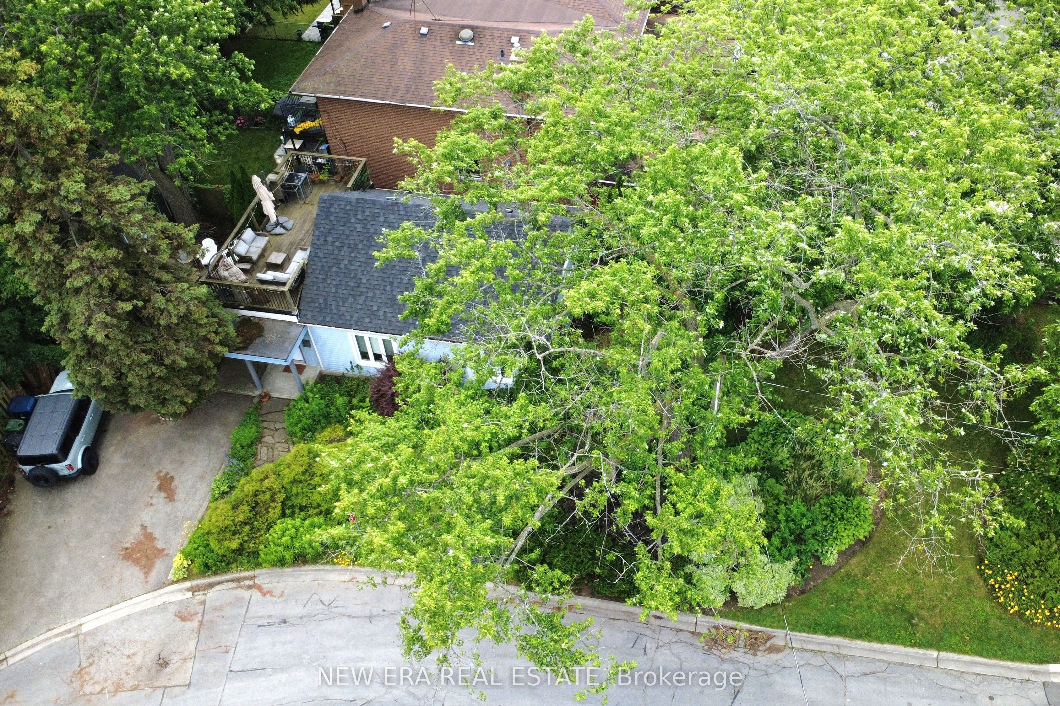 Listing 166667 Image