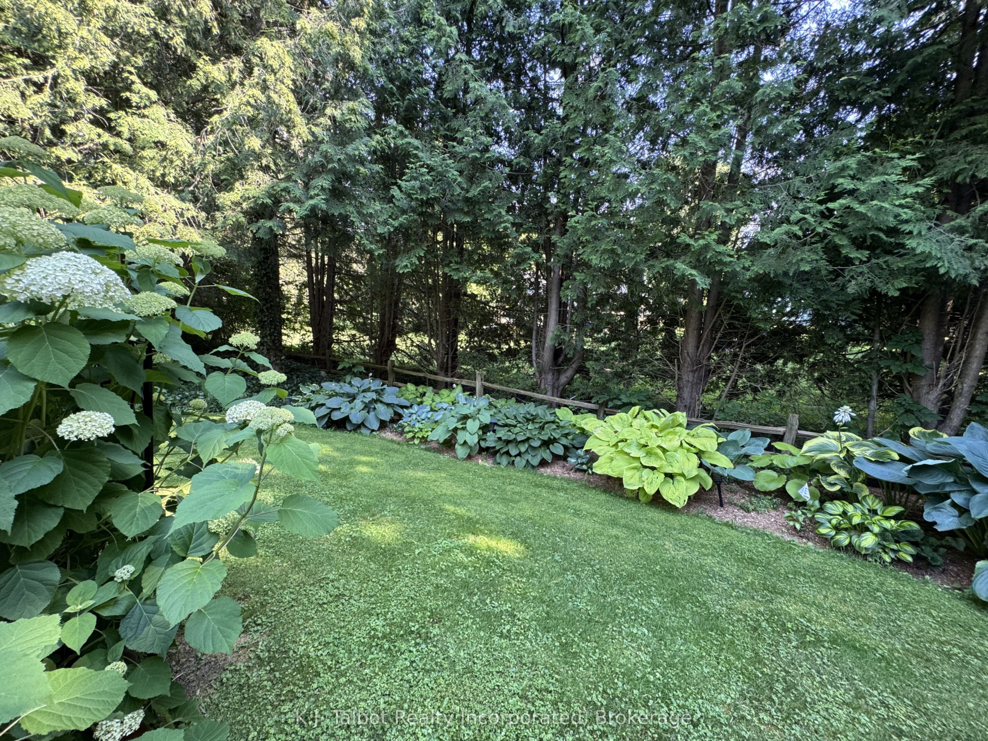 Listing 169146 Image