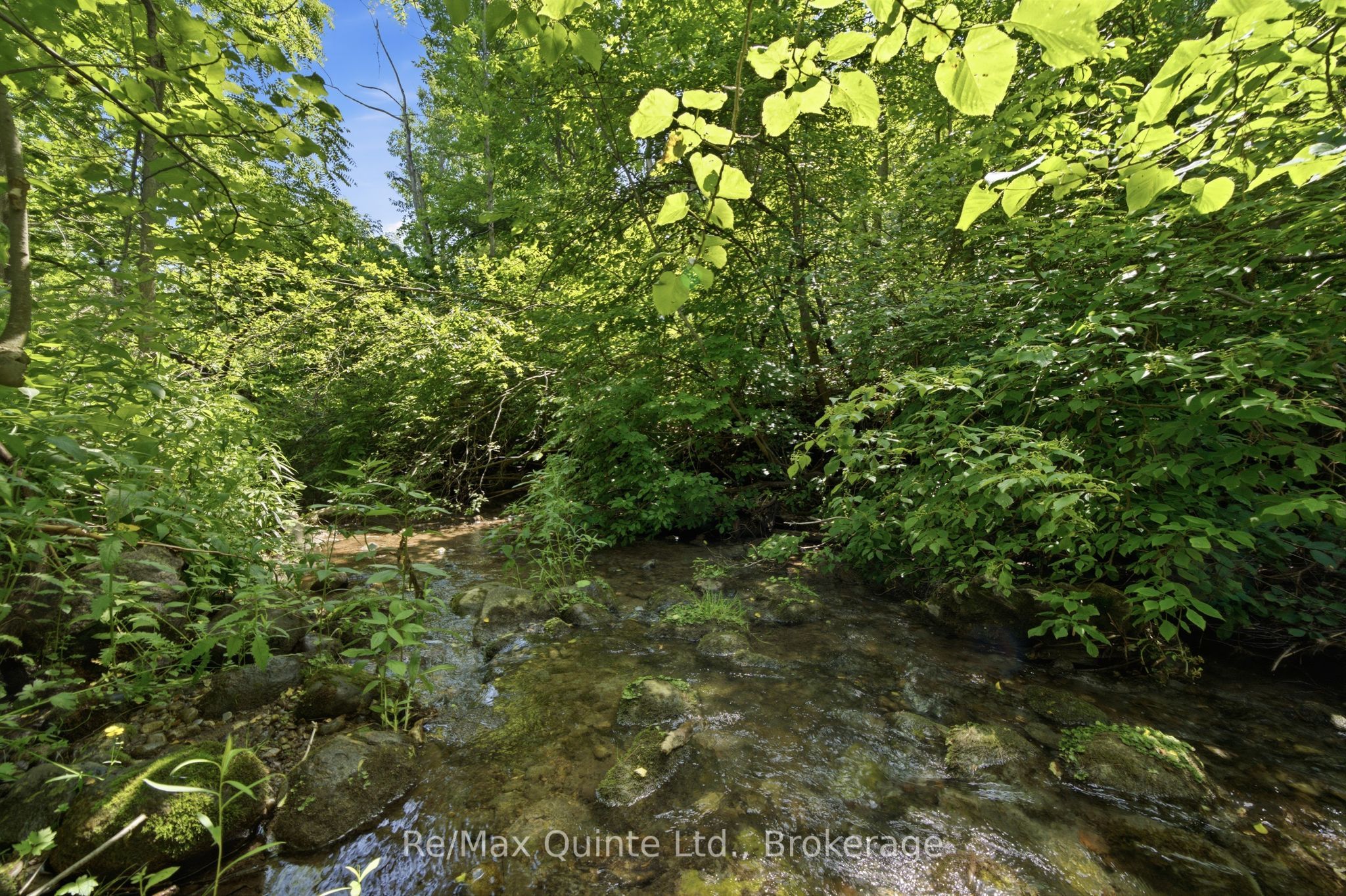 Listing 171831 Image
