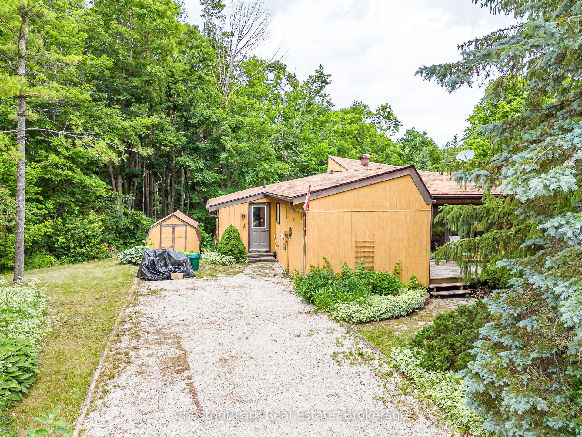 Main Property
