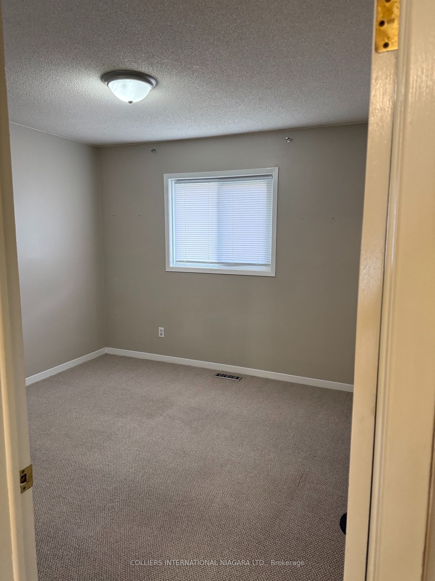 Listing 234074 Image