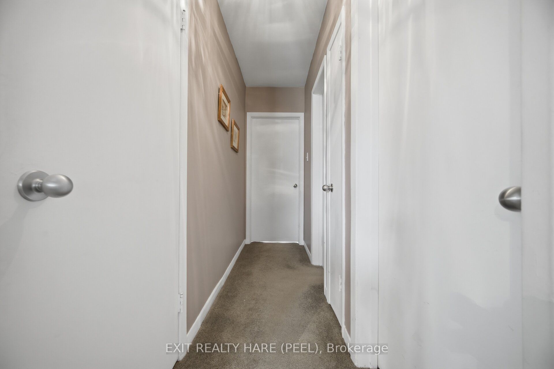 Listing 174575 Image