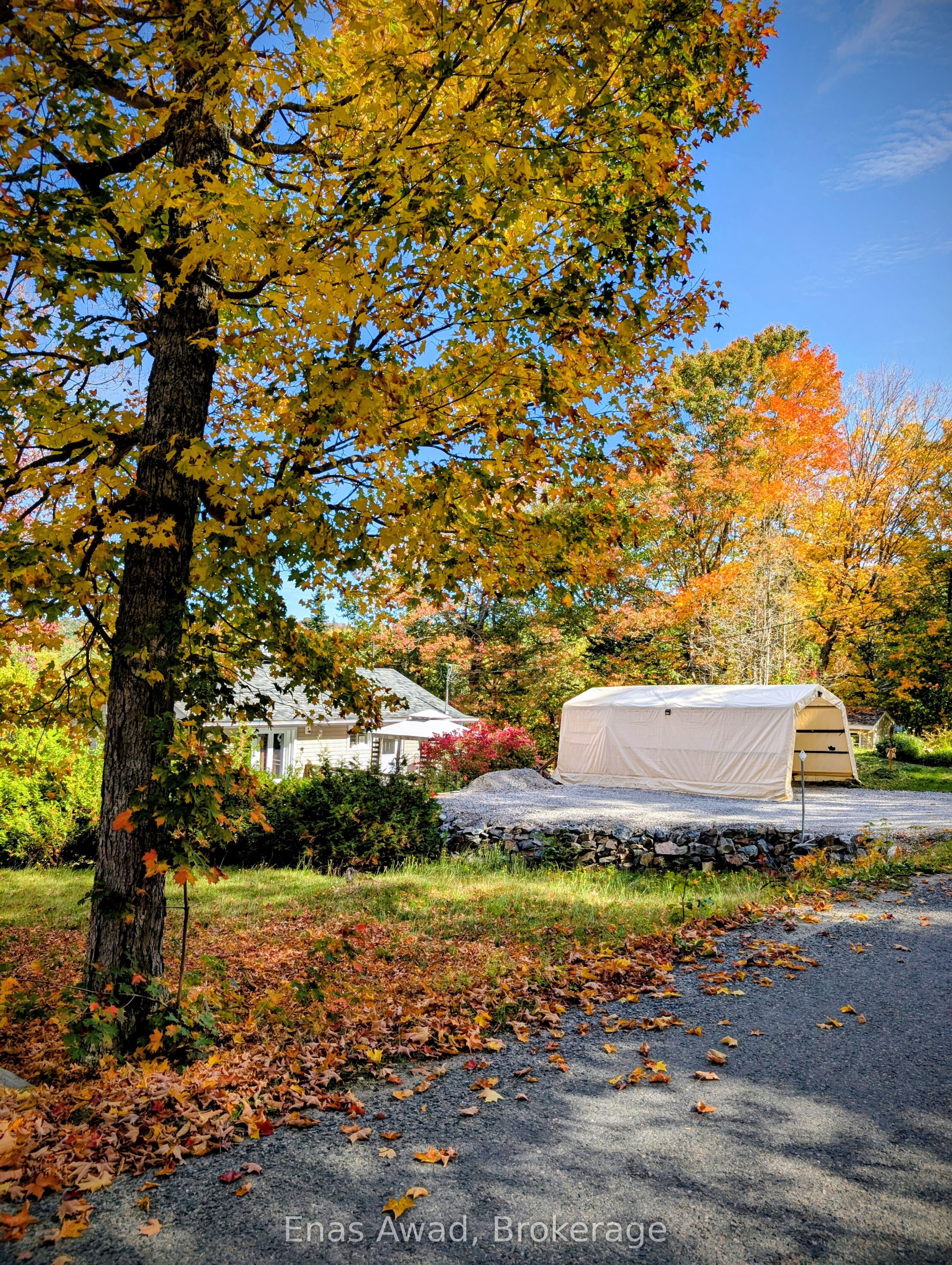Listing 176407 Image