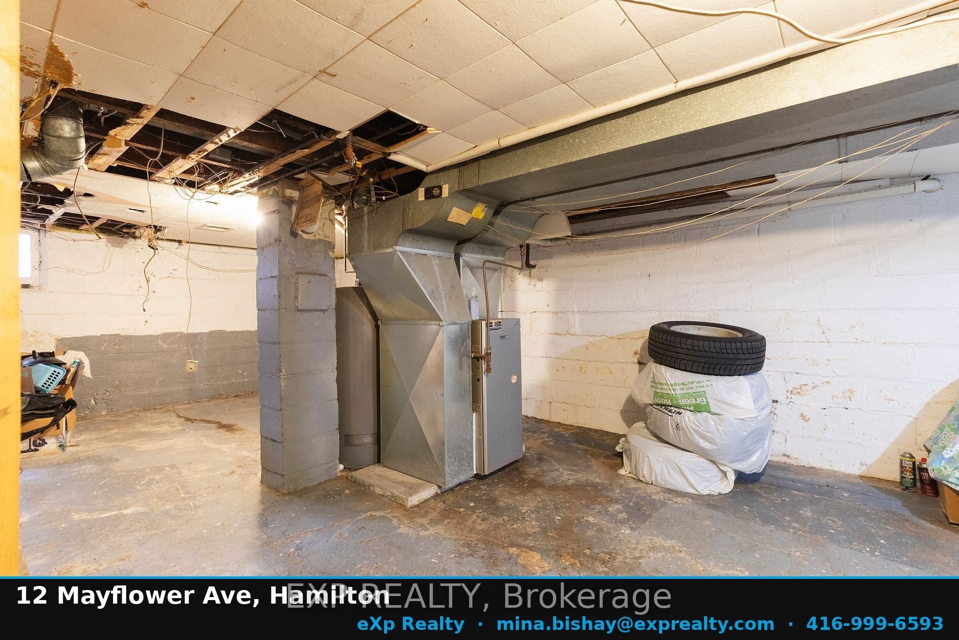 Listing 175305 Image