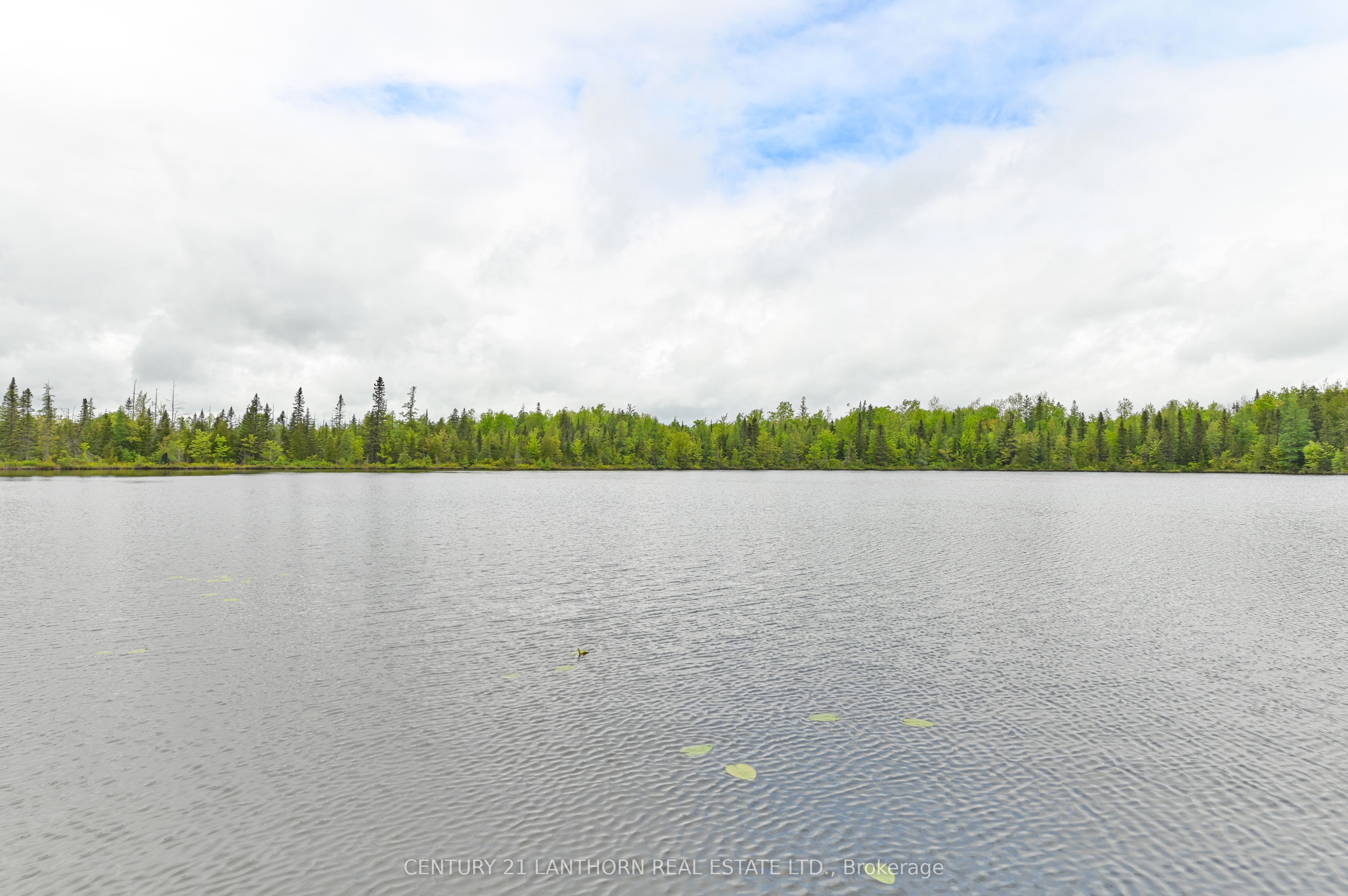 Listing 179596 Image