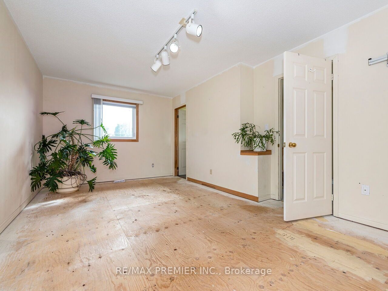 Listing 187541 Image