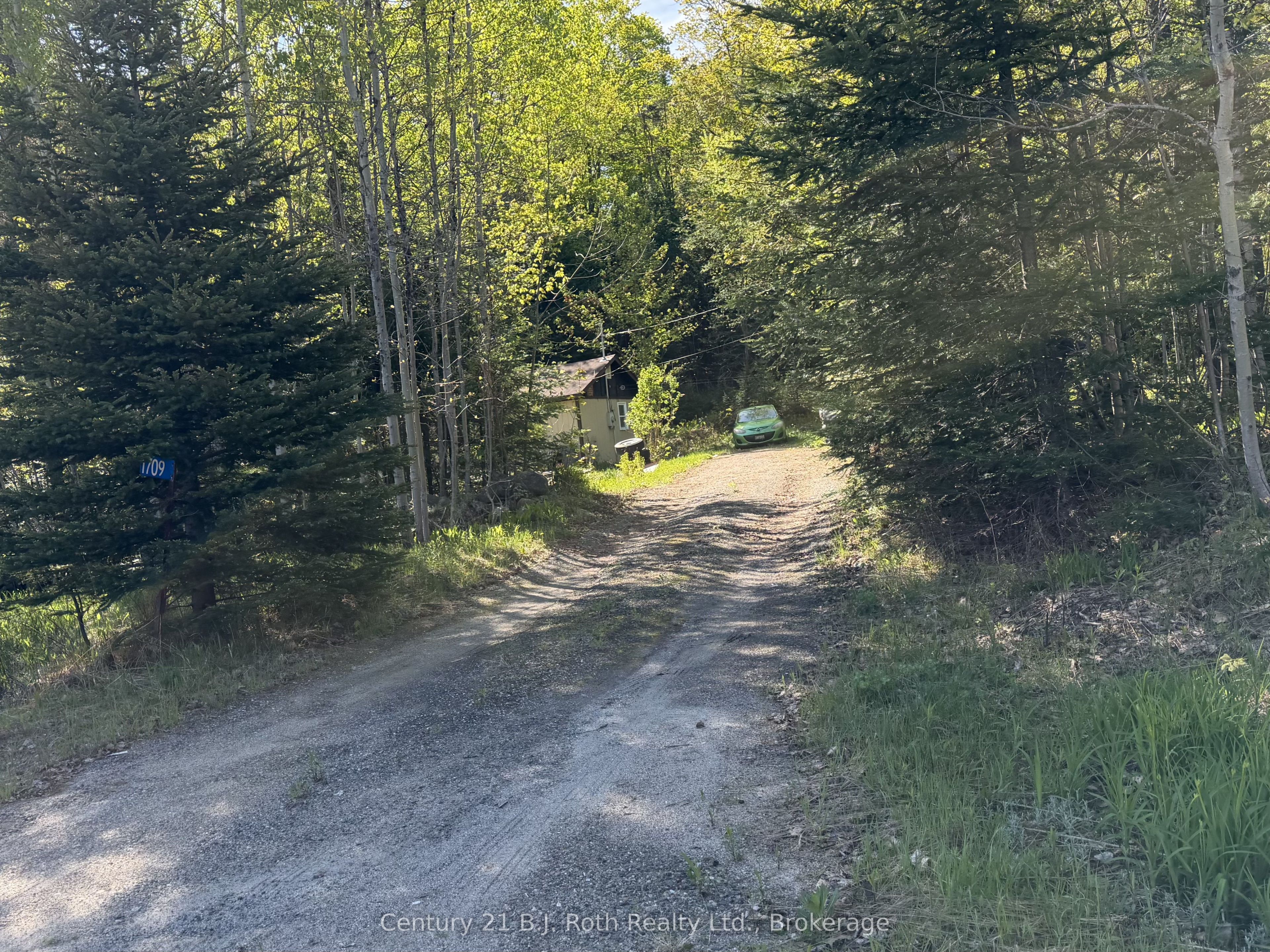 Listing 258598 Image