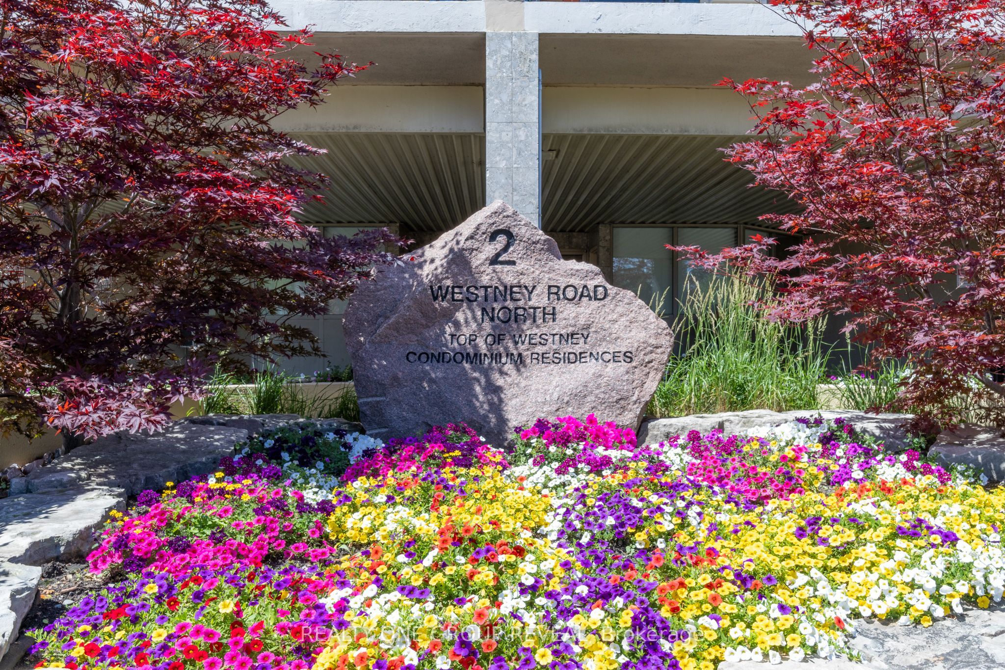 Listing 195997 Image
