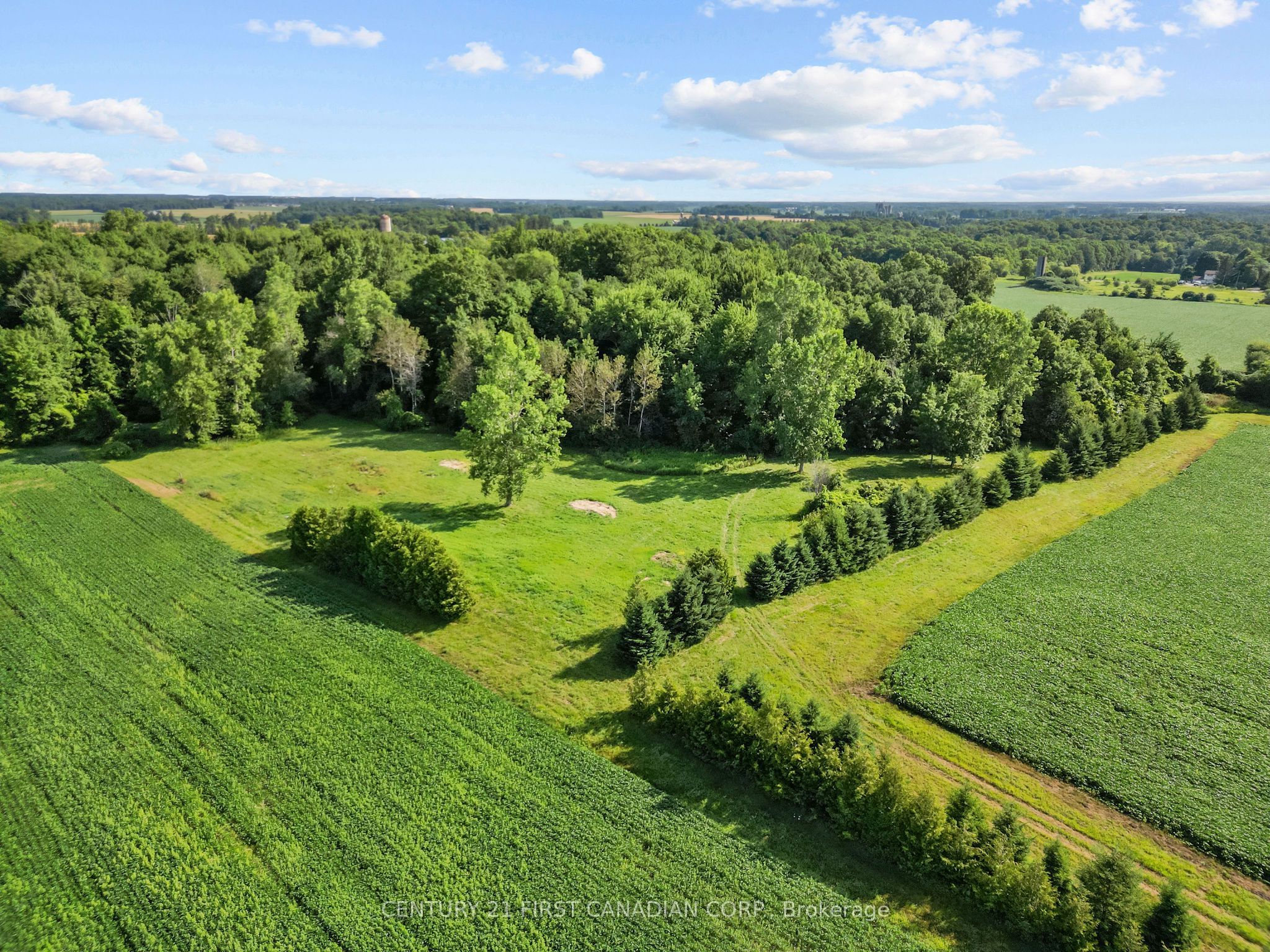 Listing 215215 Image