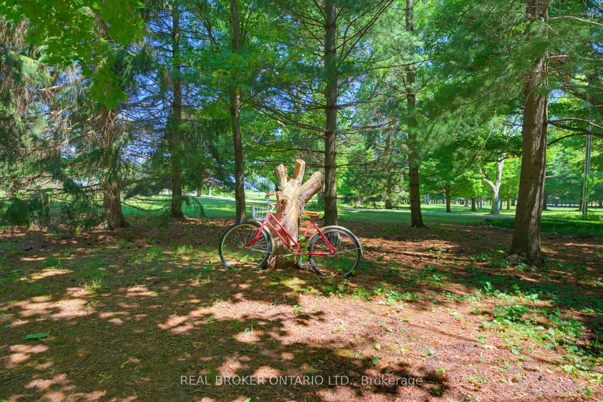 Listing 223020 Image