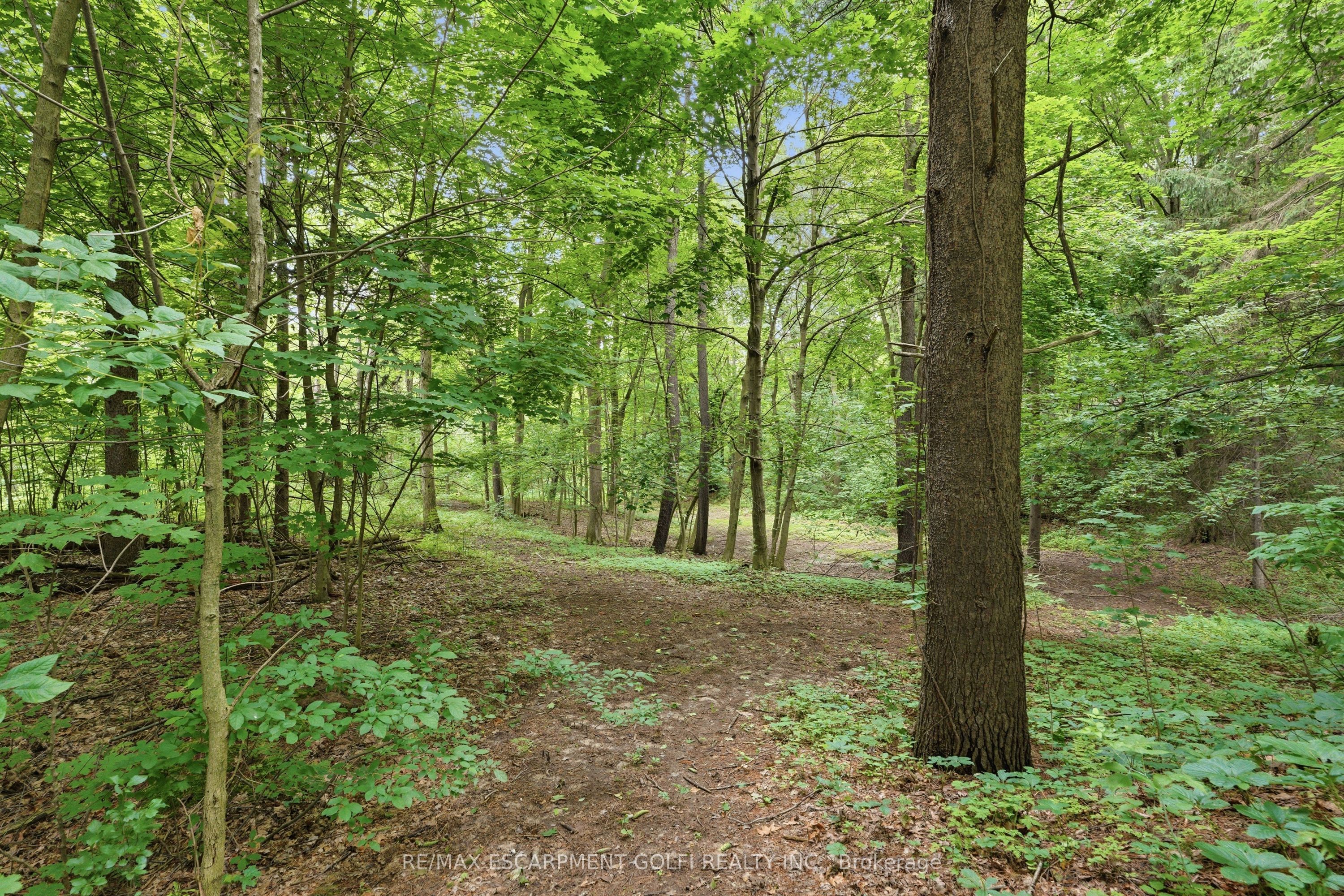 Listing 187008 Image