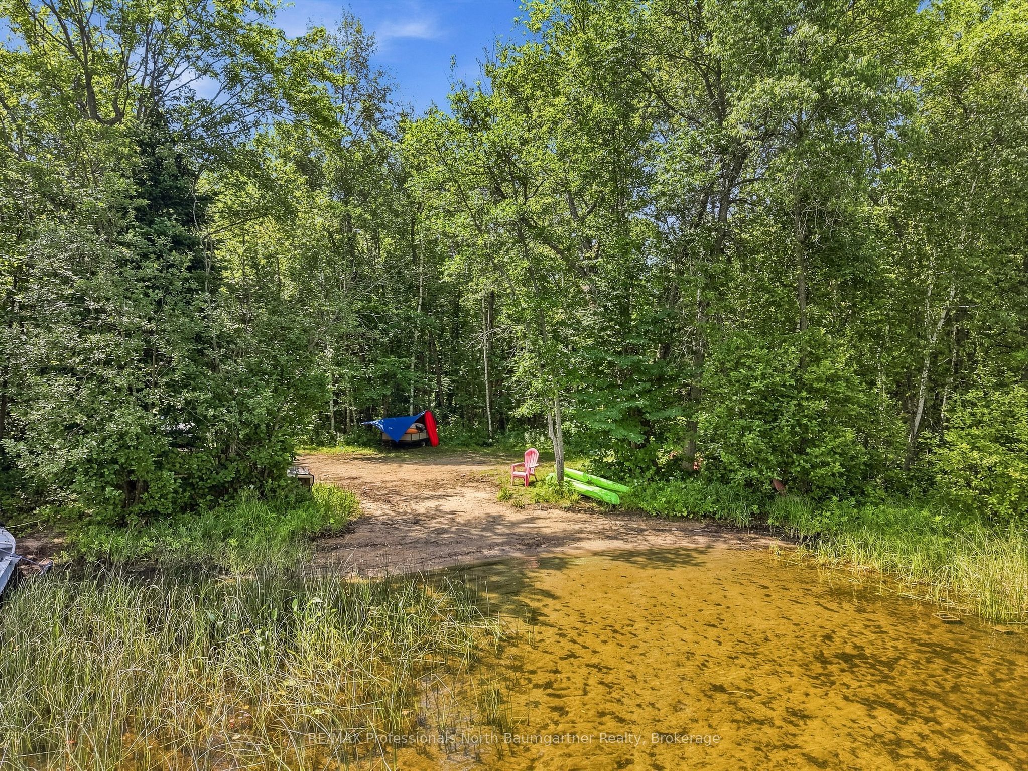 Main Property
