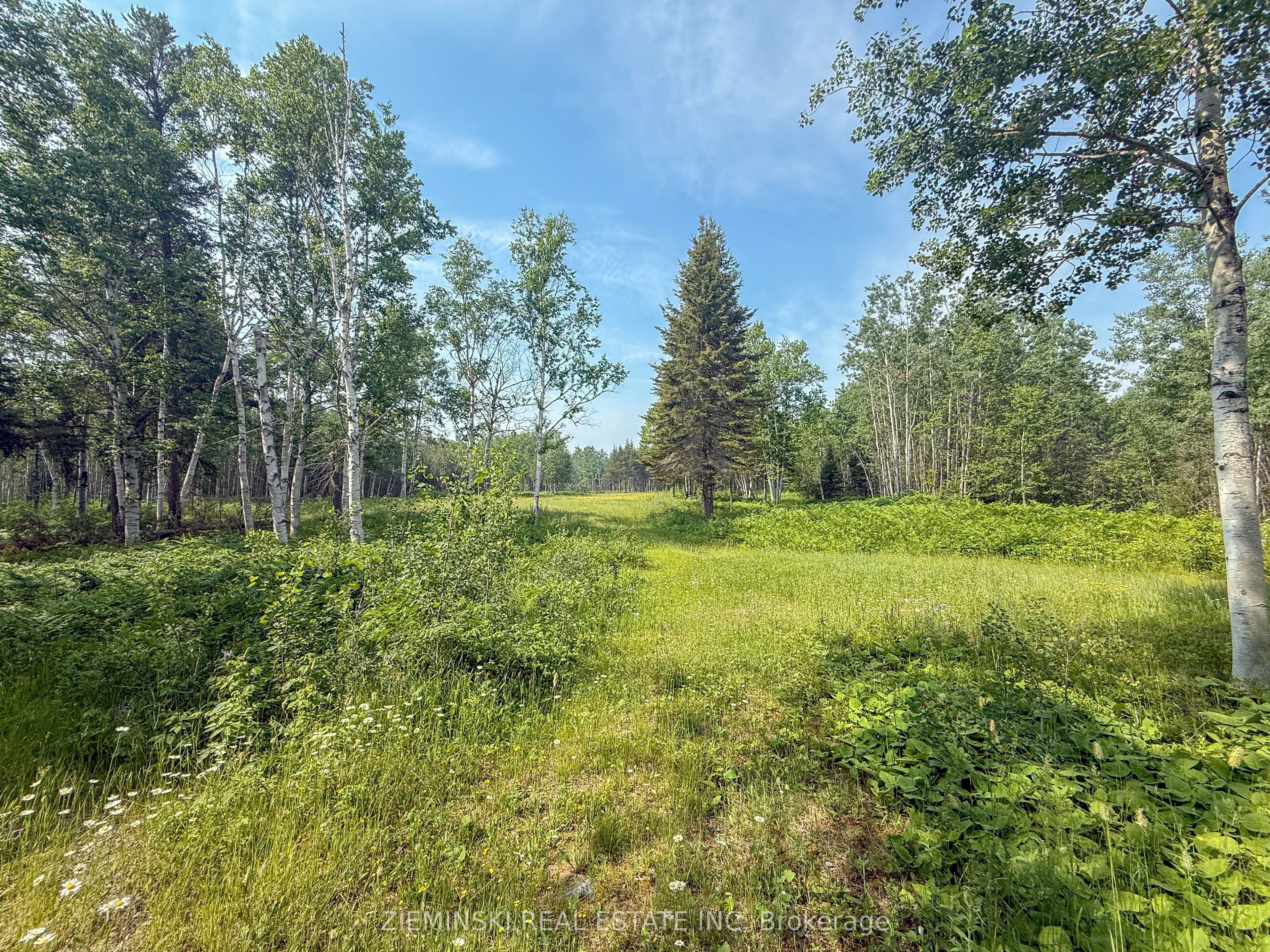 Listing 193103 Image