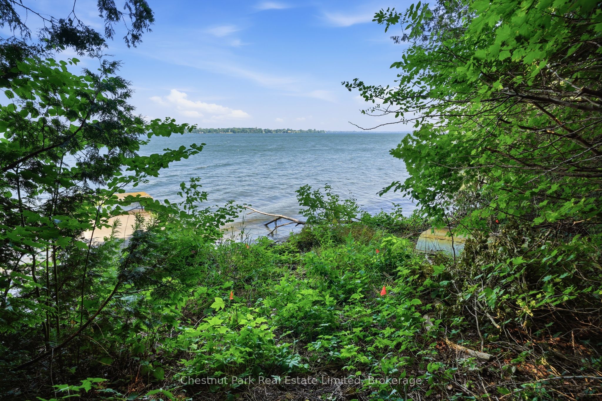 Listing 193542 Image