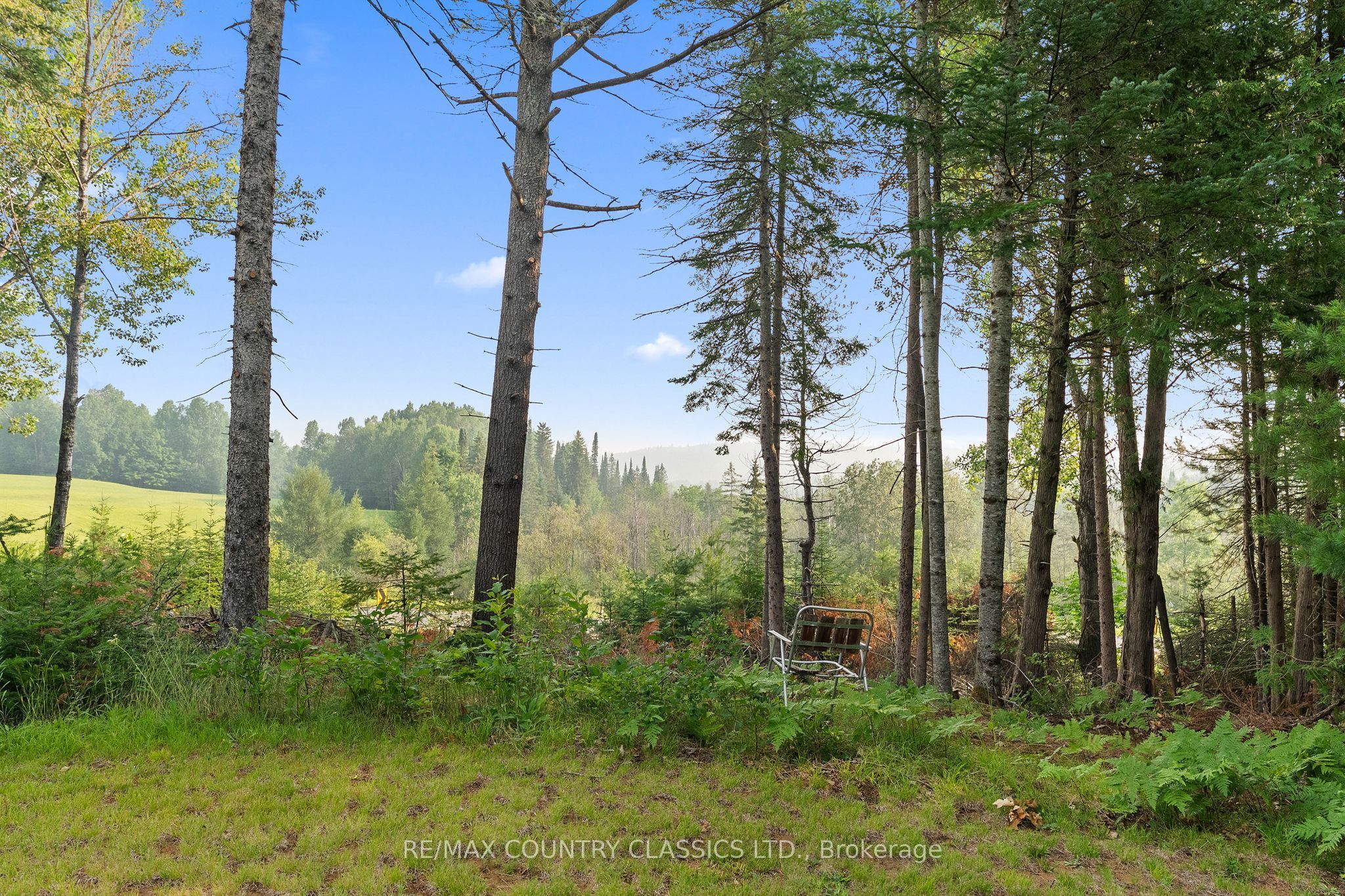 Listing 200471 Image