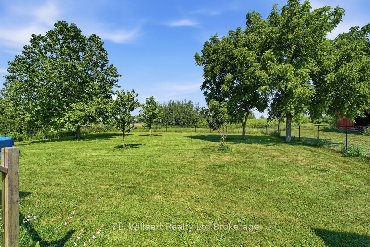 Listing 197485 Image