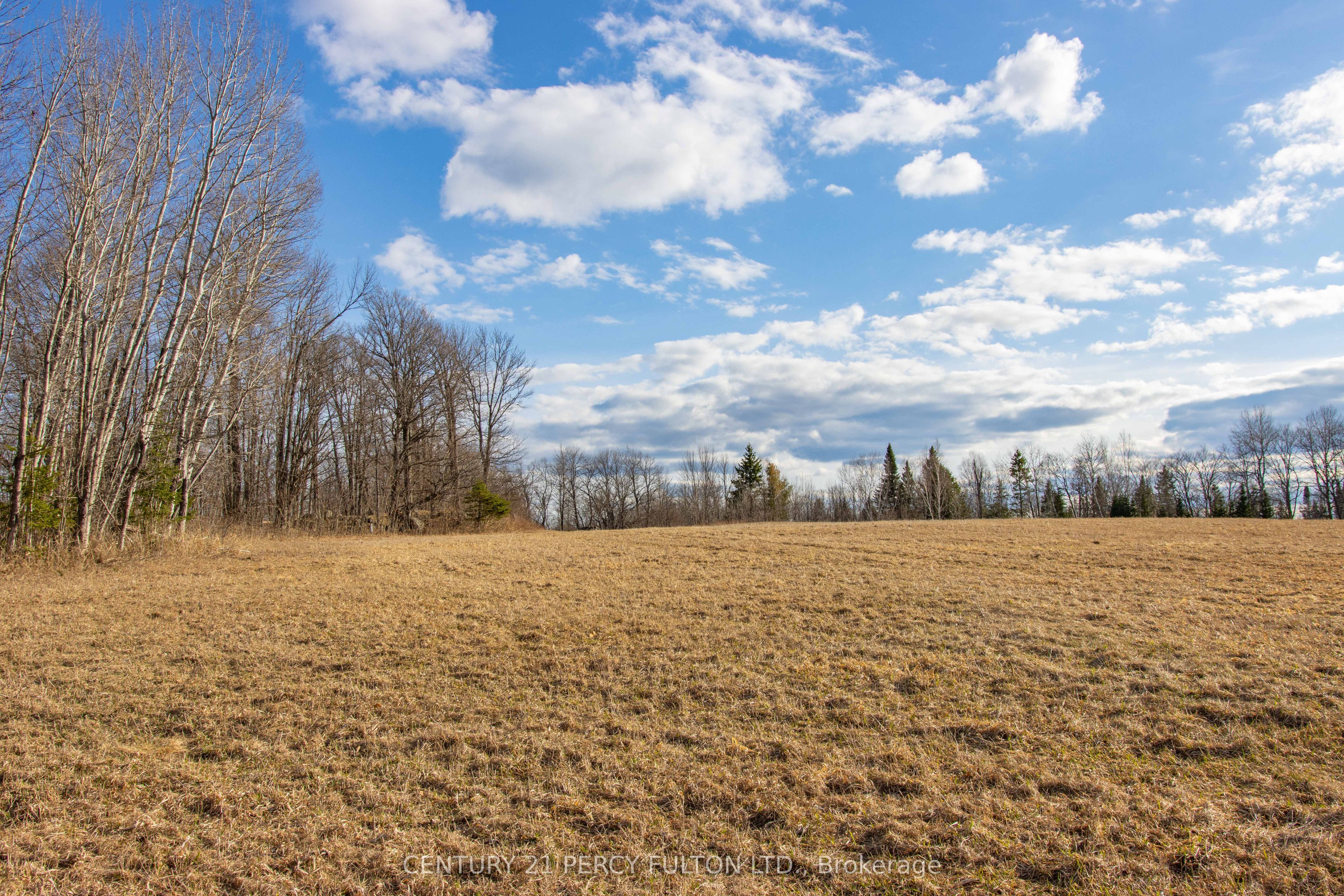 Listing 198018 Image